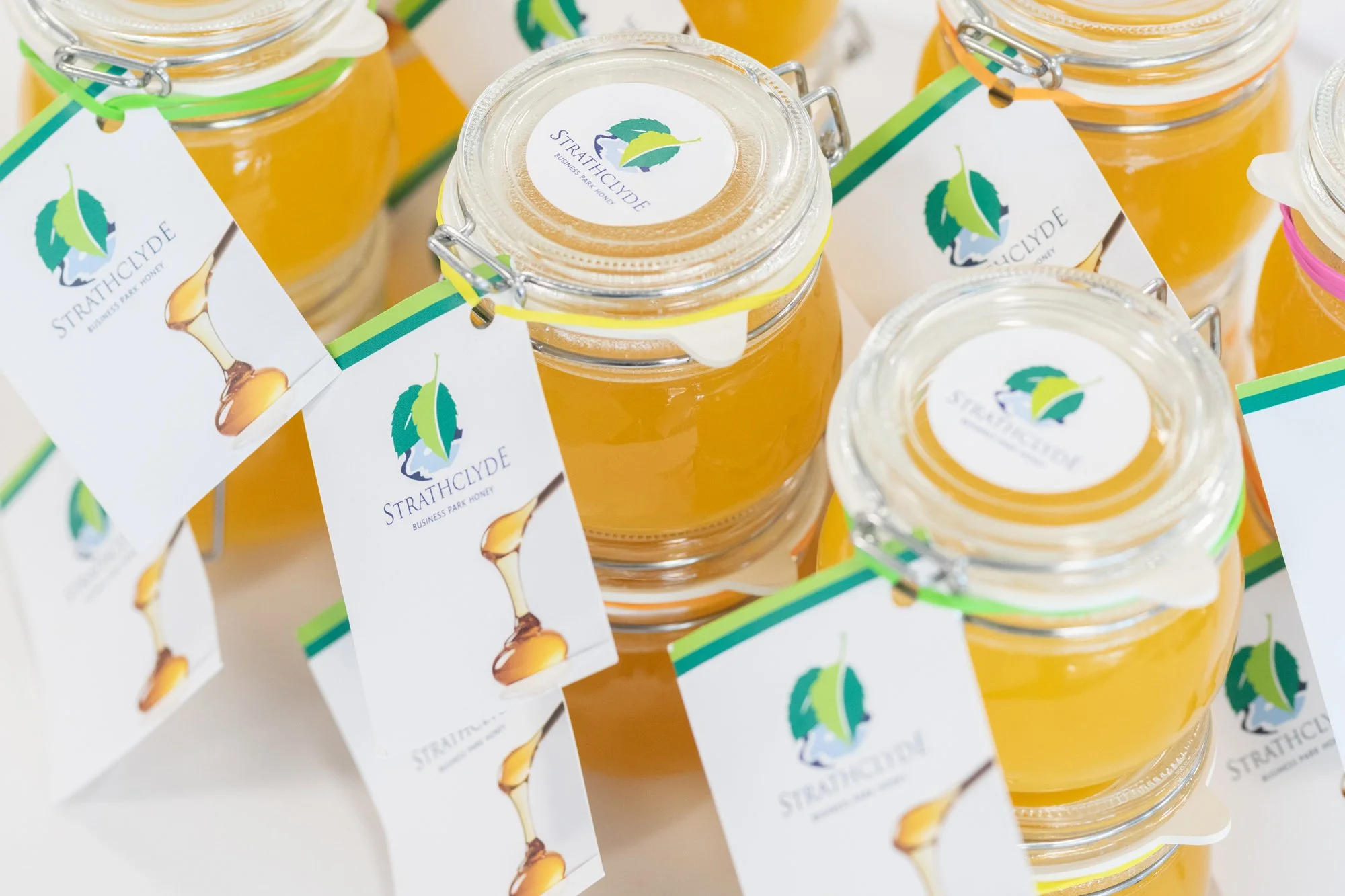 Beyond Business: SBP's Initiative for Bees and Biodiversity