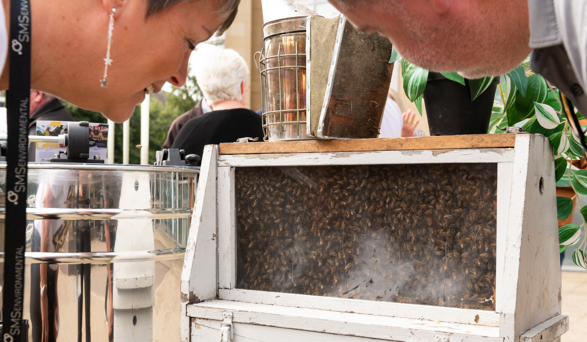 Bee Community Day