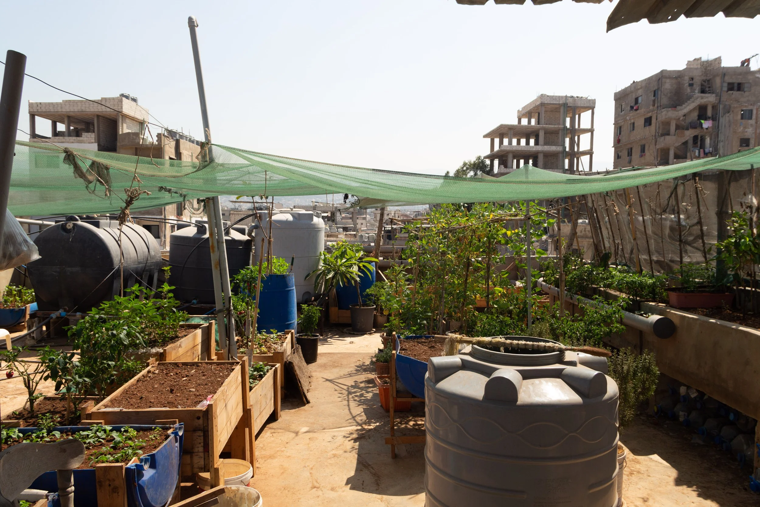 rooftops - garden ahweh.jpg