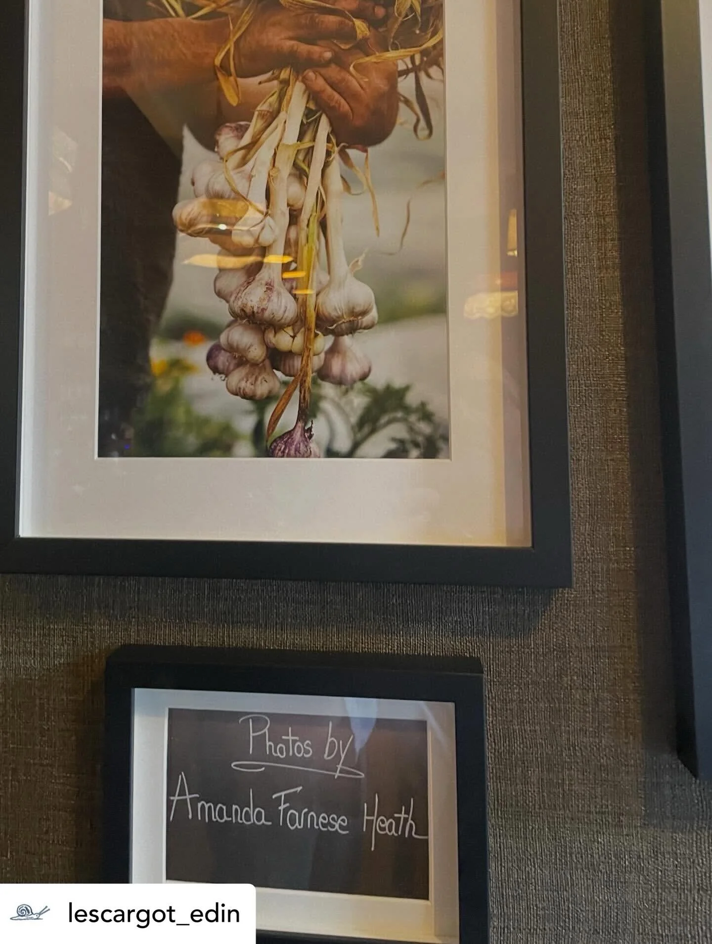 Delighted that @amandafarneseheathphoto photos from Fred&rsquo;s amazing garden @monktongardens 🥕 are adorning the walls of the iconic @lescargot_edin 🐌 

#landseahills 
#lescargotbleu 
#eastlothian