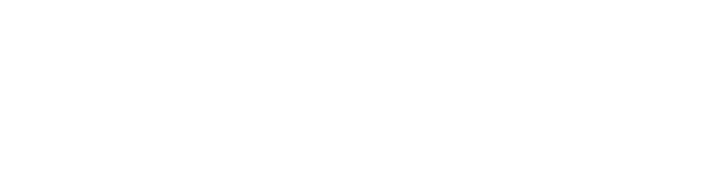 Vilosia TDD Agent