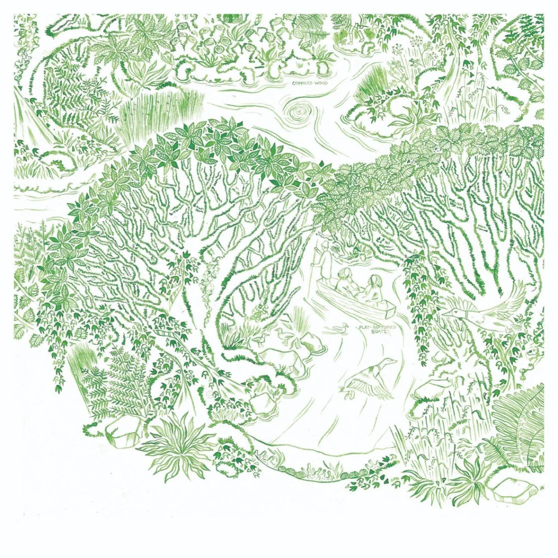 The Gearagh: The Wooded River