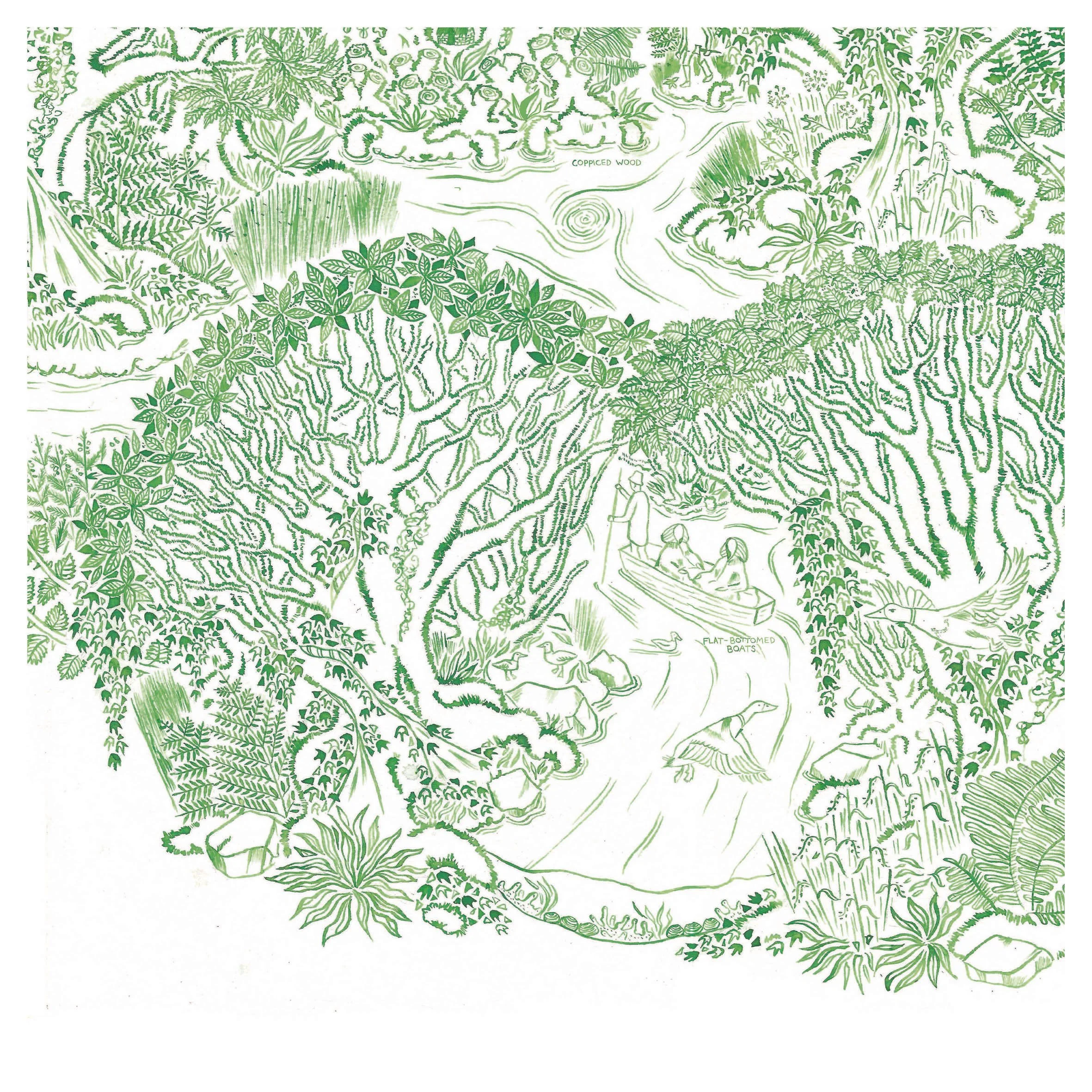 The Gearagh: The Wooded River