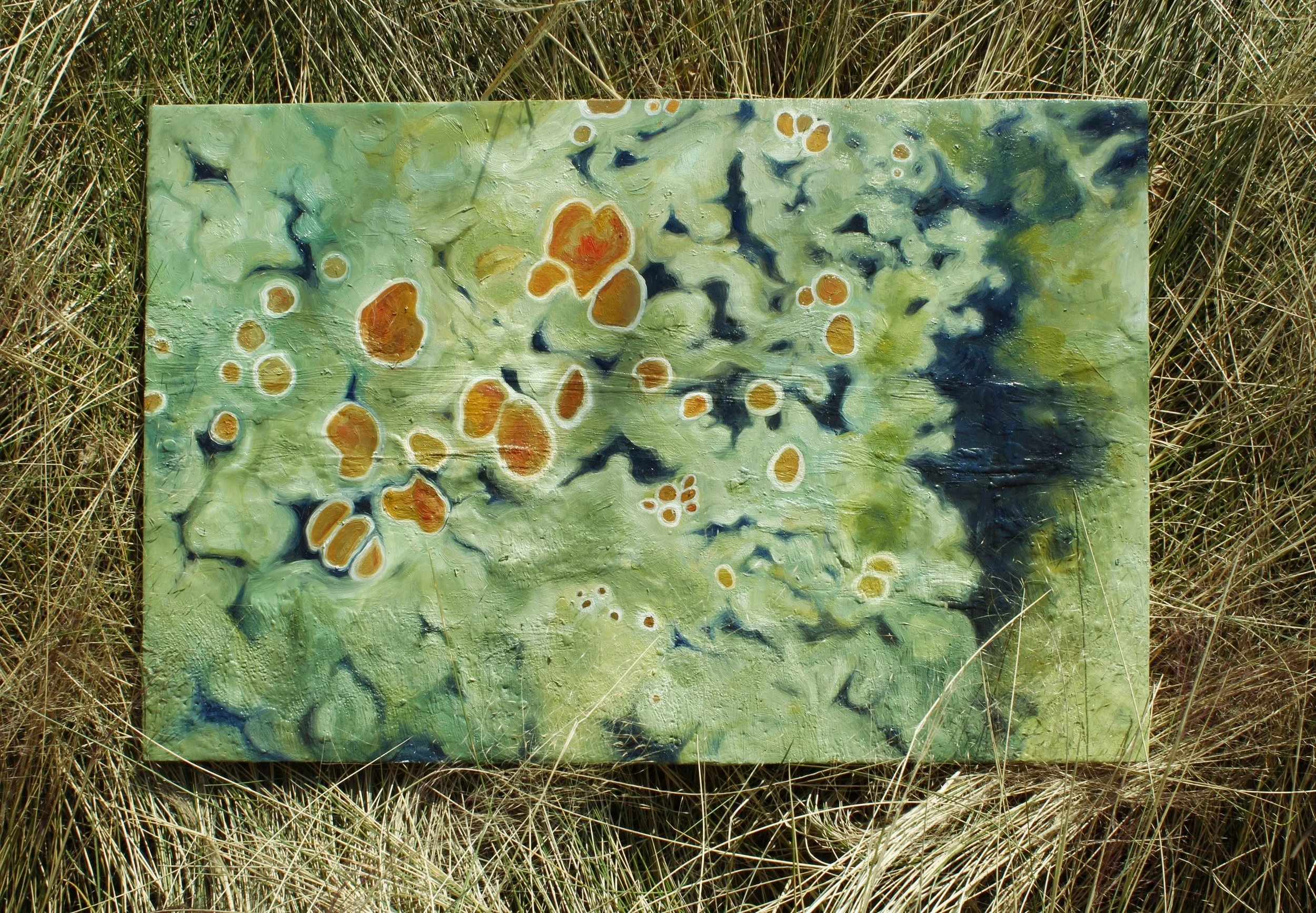 ANGELS 1~7.CR2 (1).jpg