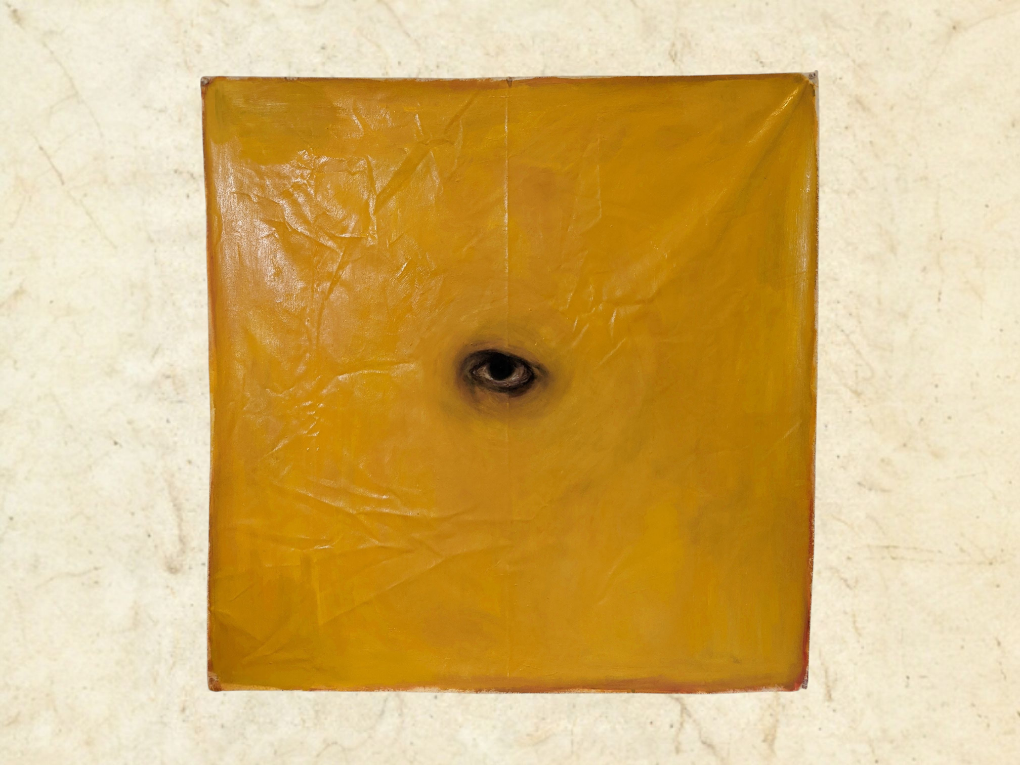 Robertson_EYE (1).png