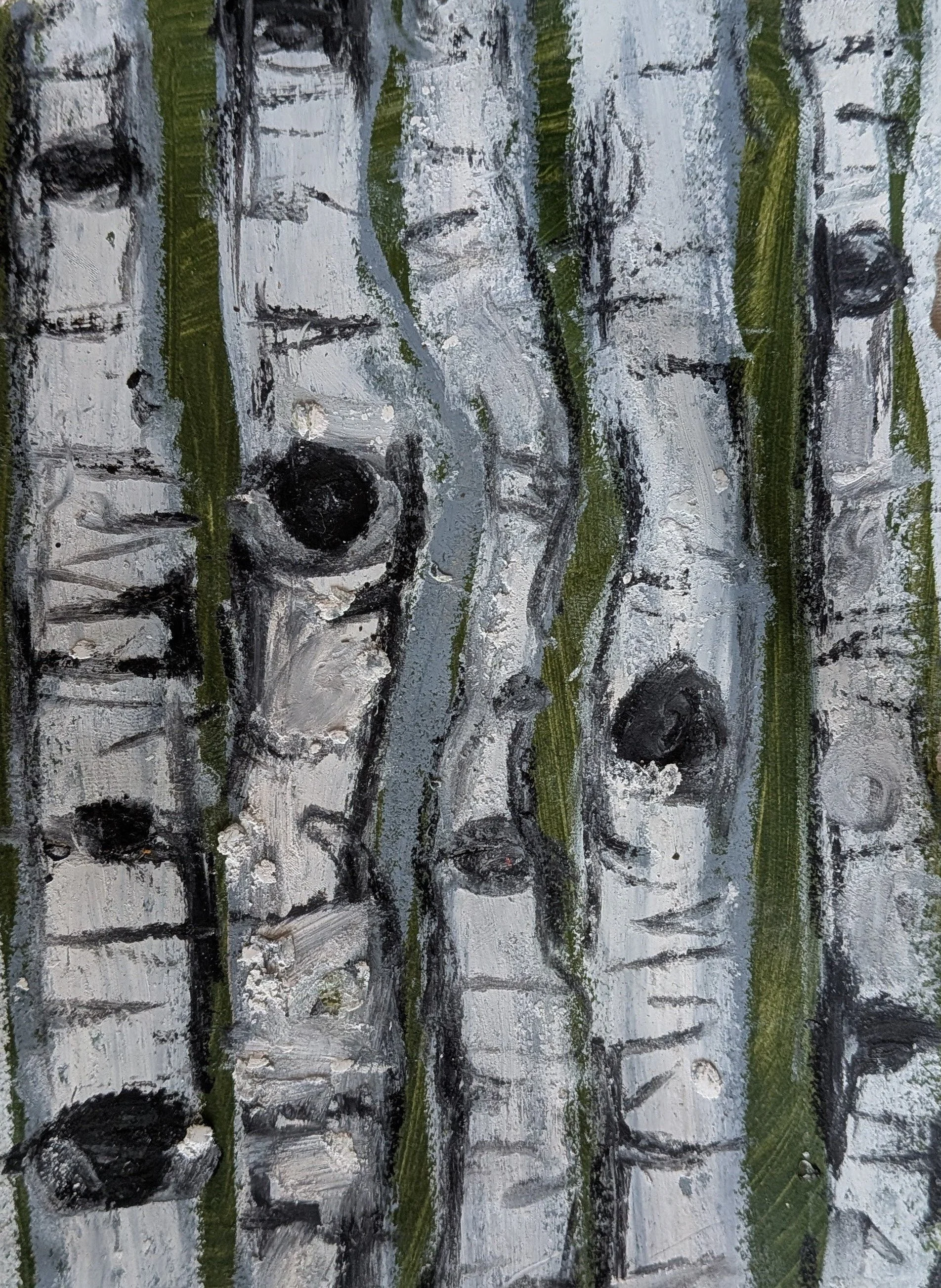 birch.jpg