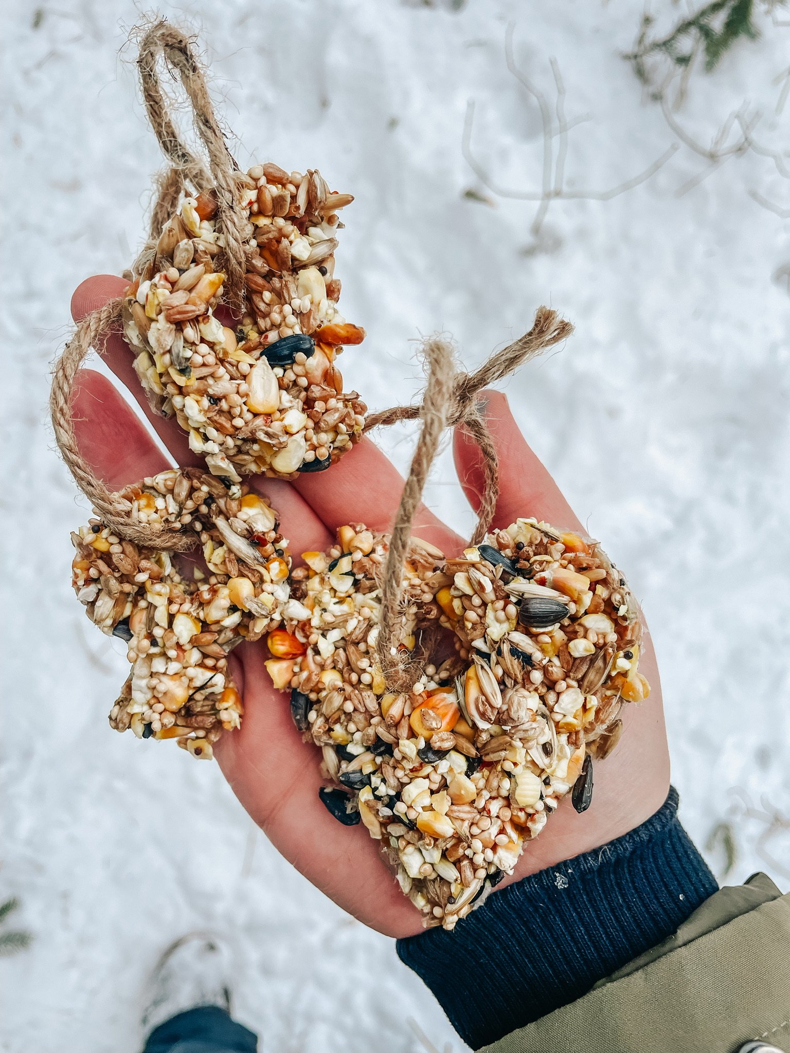 Hand holding a birdseed ornament made of mixed seeds, nuts, and sunflower seeds, tied with twine in a snow-covered outdoor setting.