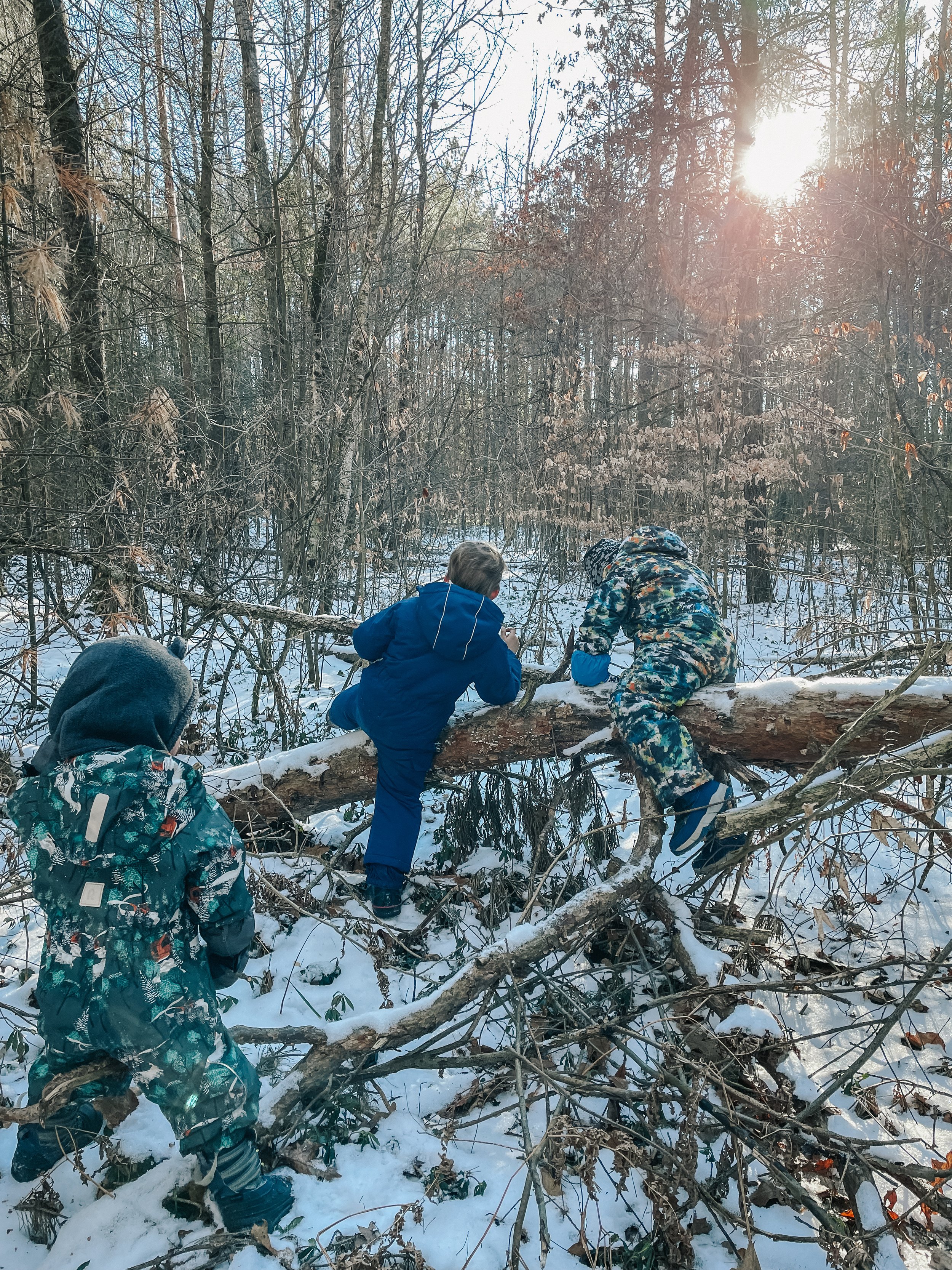 Three children in winter clothing climbing over a fallen tree in a snowy forest during sunset.