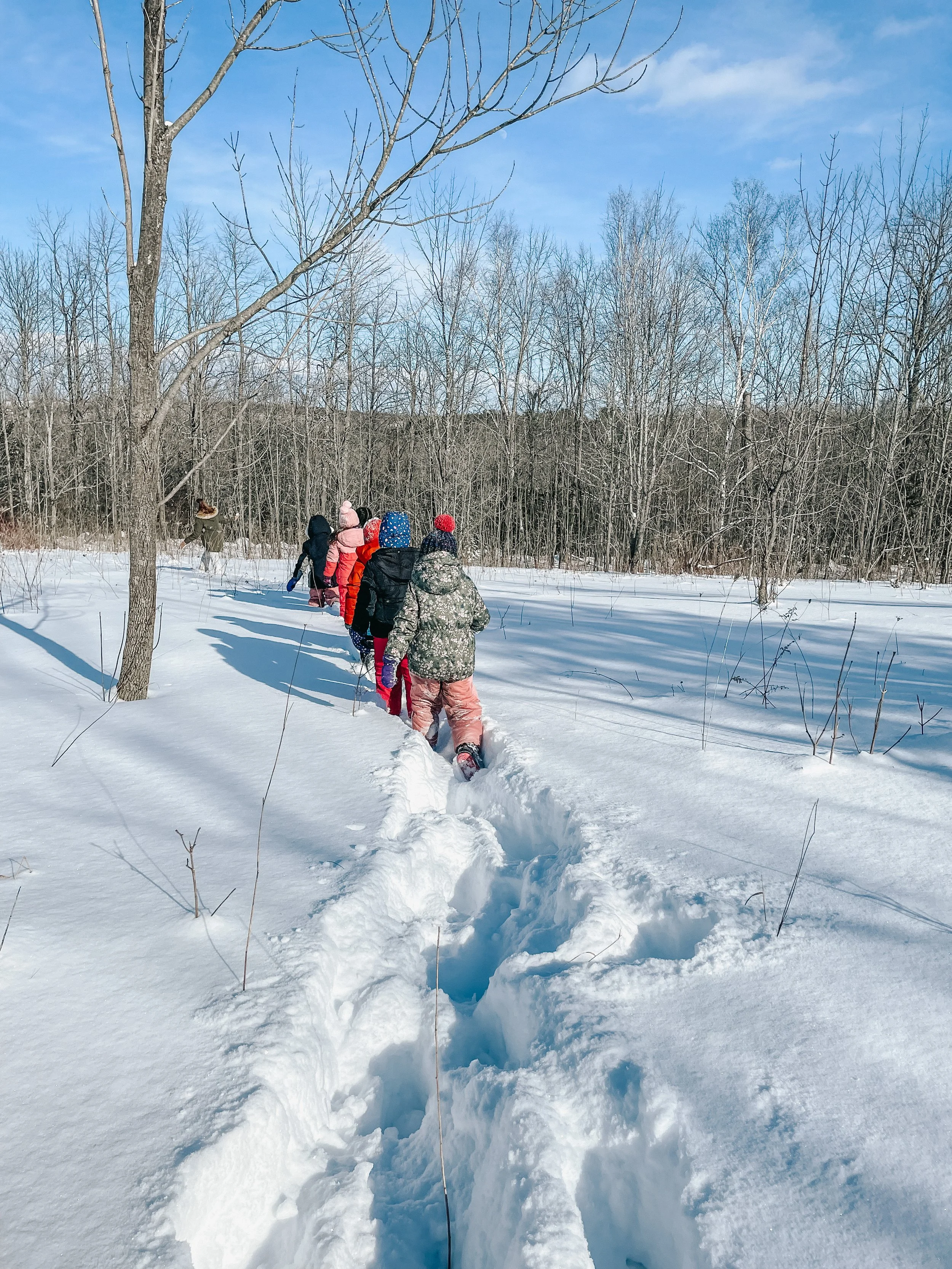 Children walking in a single file through deep snow on a winter day, carrying backpacks and dressed in winter clothing, with a forest of leafless trees in the background and a clear blue sky.