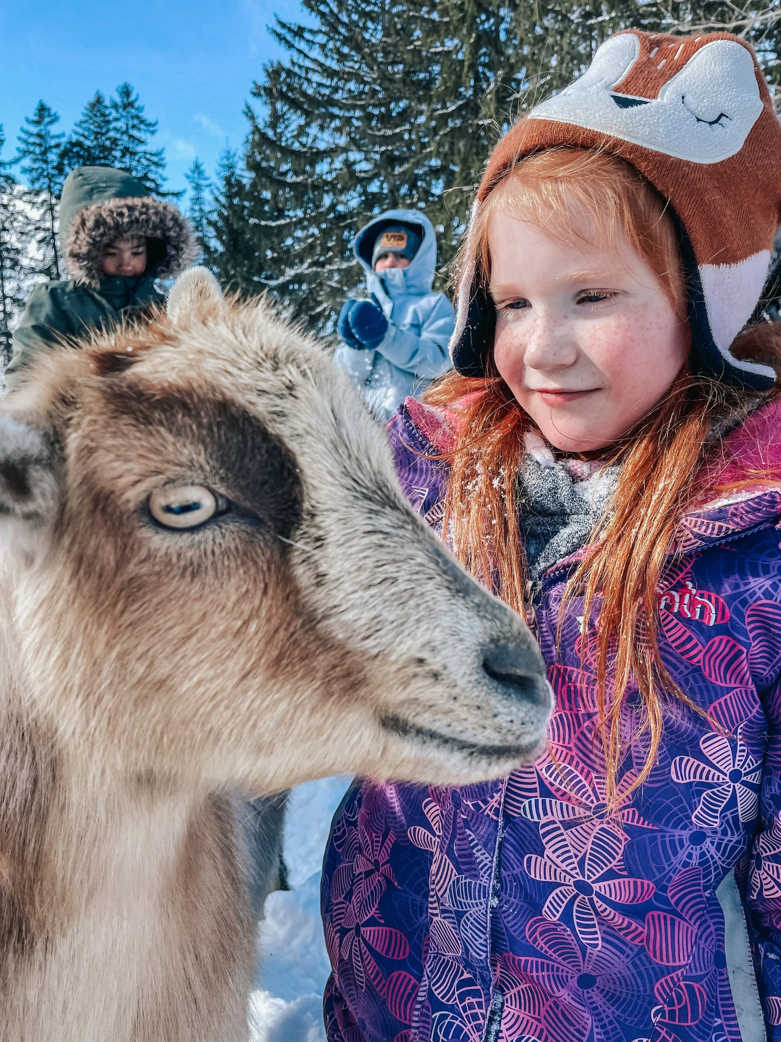 A young girl with red hair wearing a brown and white animal-themed winter hat looks at a llama in a snowy outdoor setting with forest trees and two people in winter clothing in the background.