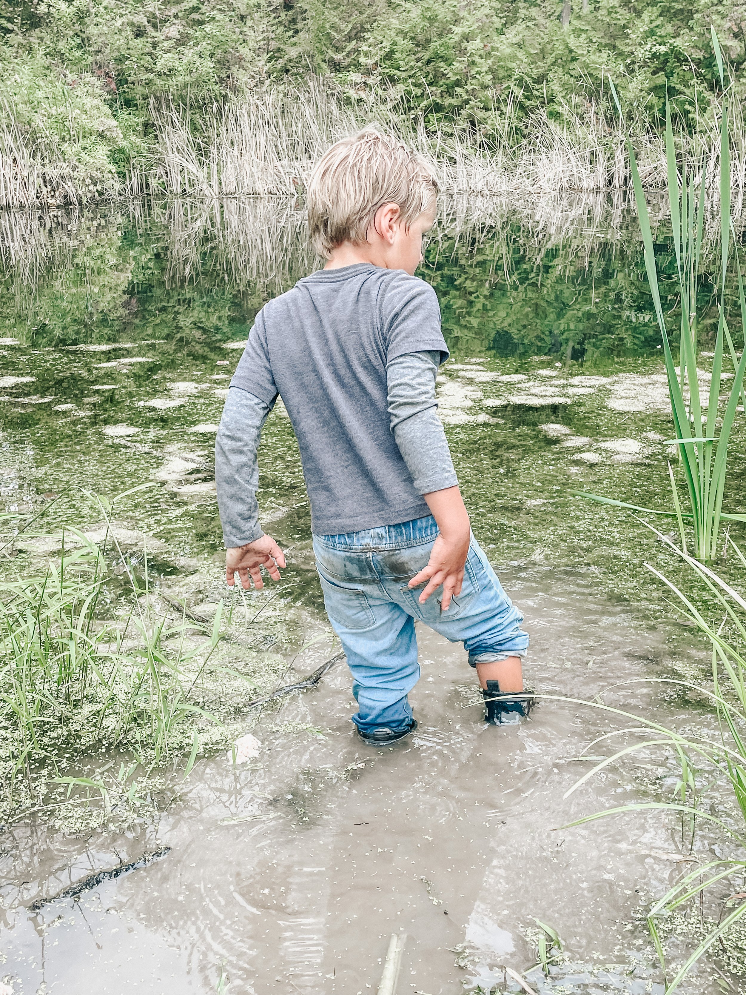 A young boy stands in shallow water near a pond or marsh, surrounded by green plants and weeds, with trees in the background.