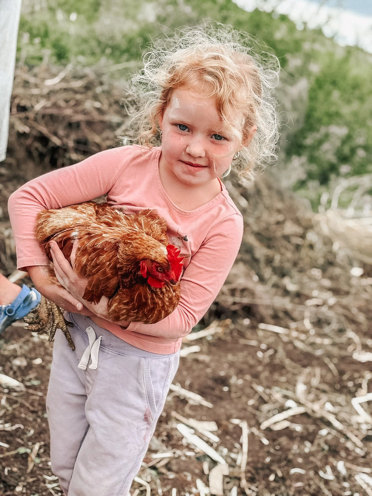 A young girl with blonde curly hair holding a brown chicken outdoors in a dirt area with green trees in the background.