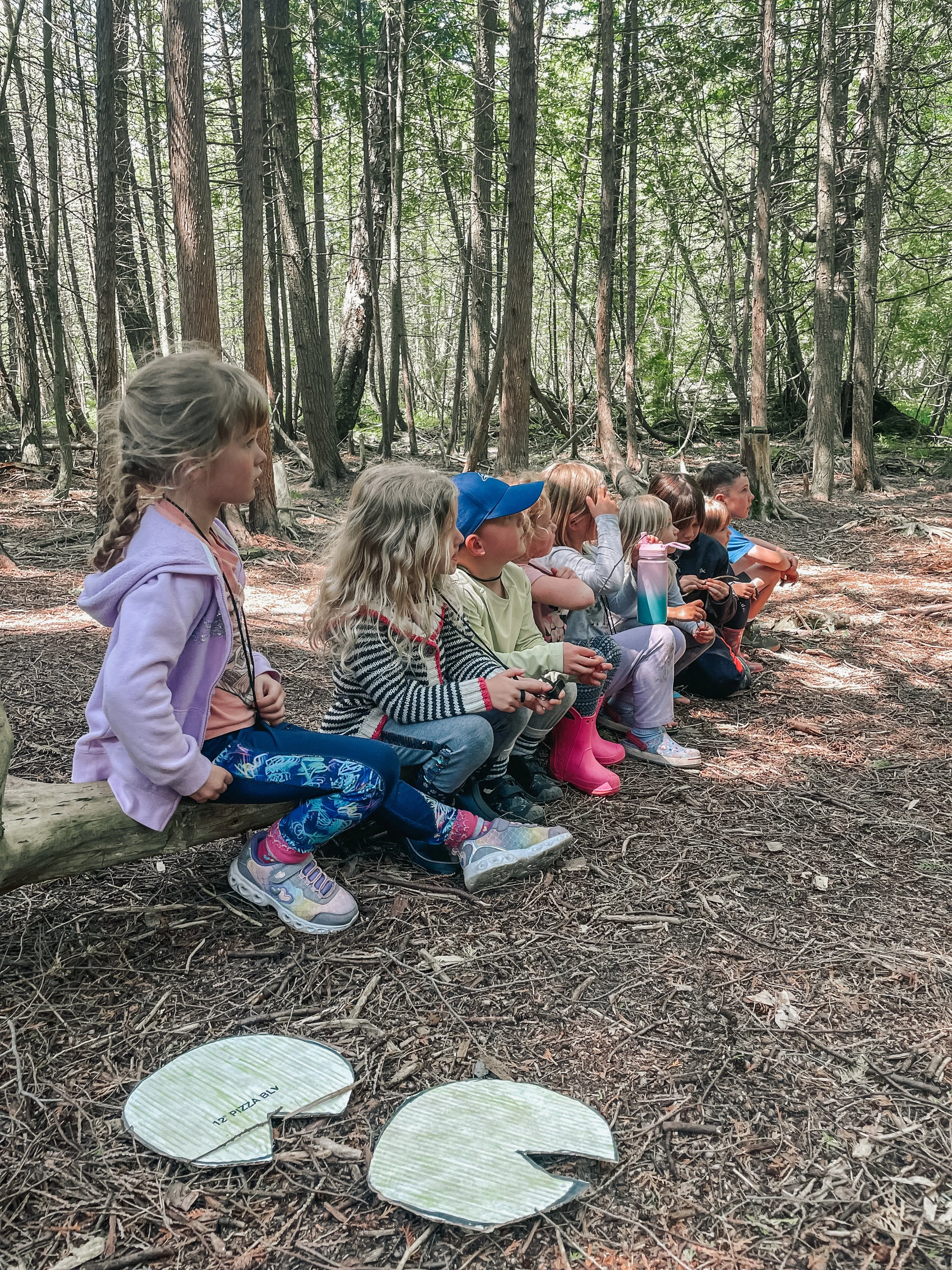 A group of children sitting on a log in a forest, with broken pieces of a cardboard pizza box on the ground in front of them.