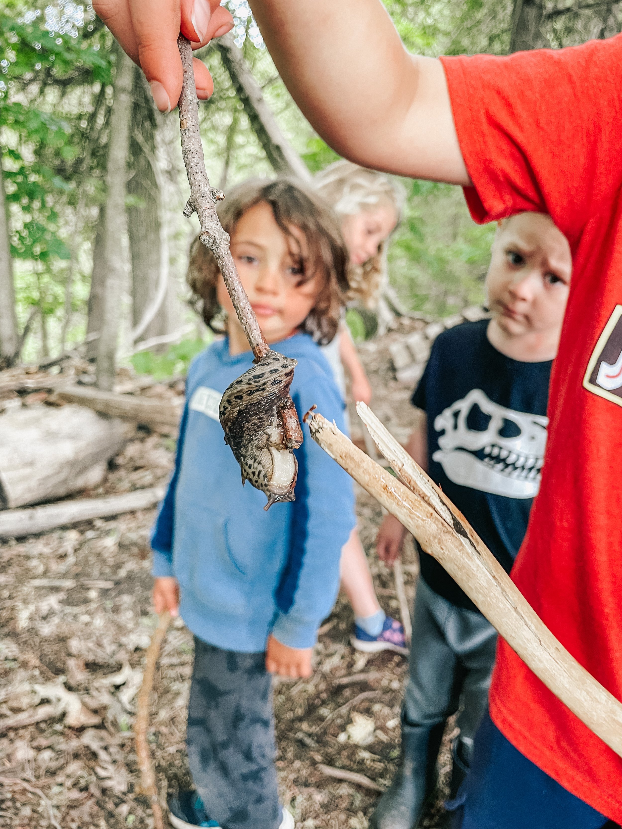 Children outdoors in a forest observing a small animal, possibly a frog or salamander, hanging from a stick held by an adult.
