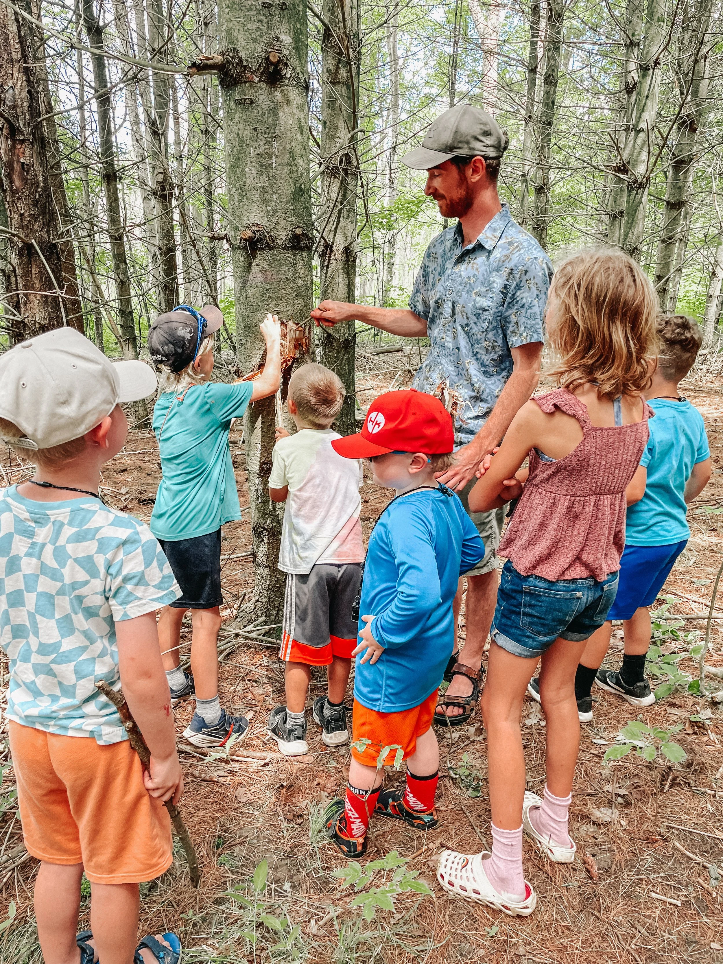 A group of children gathered around an adult in a forest, participating in a nature activity involving a tree.