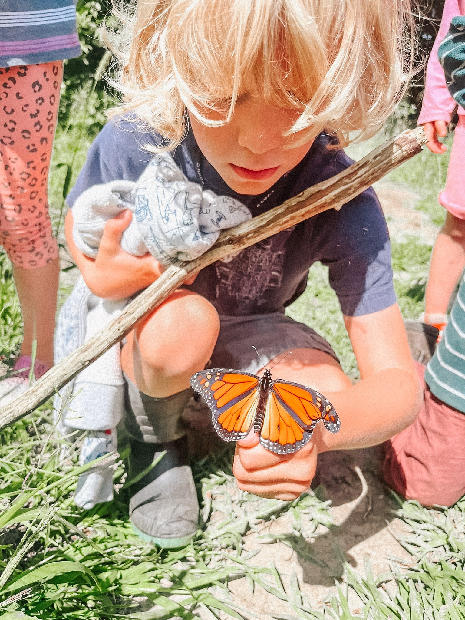 A young boy with blond hair kneeling on grass, holding an orange and black butterfly on his finger, surrounded by other children.