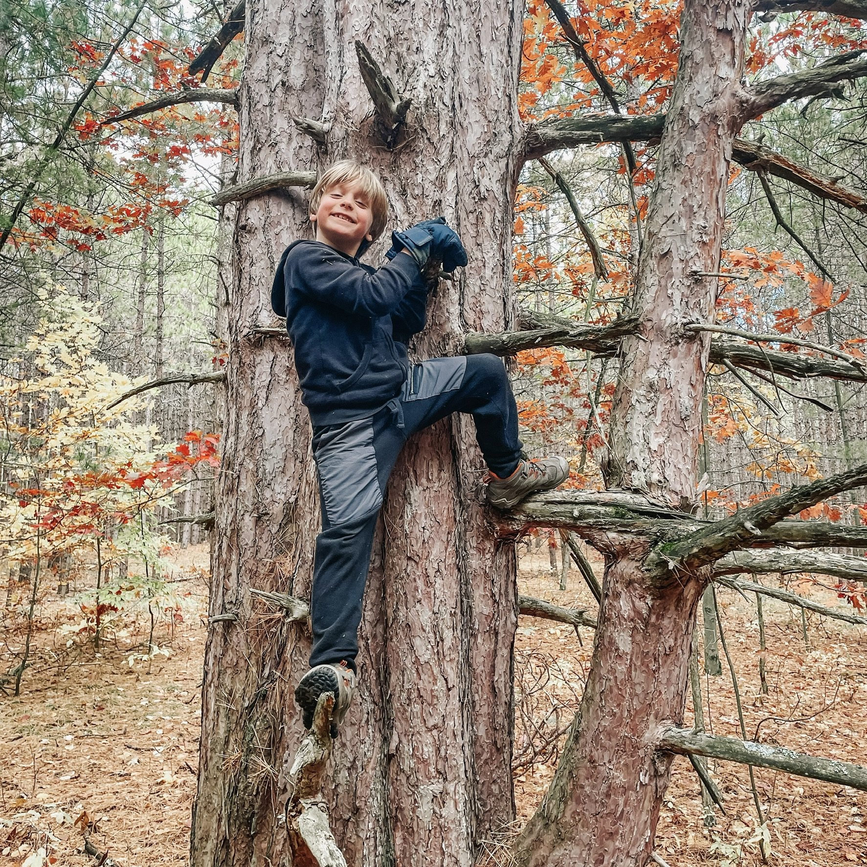 A young boy climbing and smiling on a large tree with orange leaves in a forest setting.