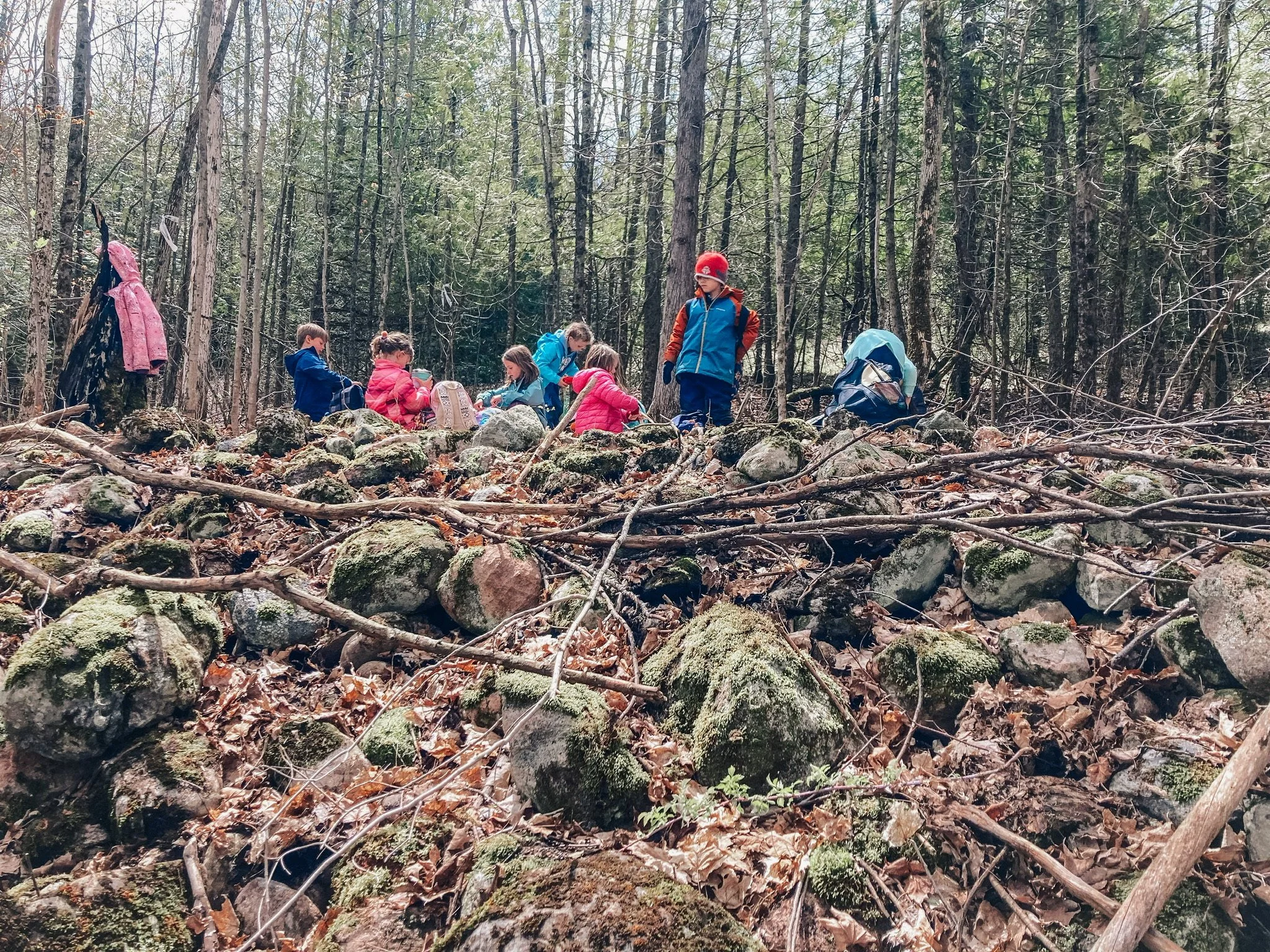 A group of children hiking in a wooded forest, some sitting on rocks and others standing with backpacks, among trees and fallen leaves.