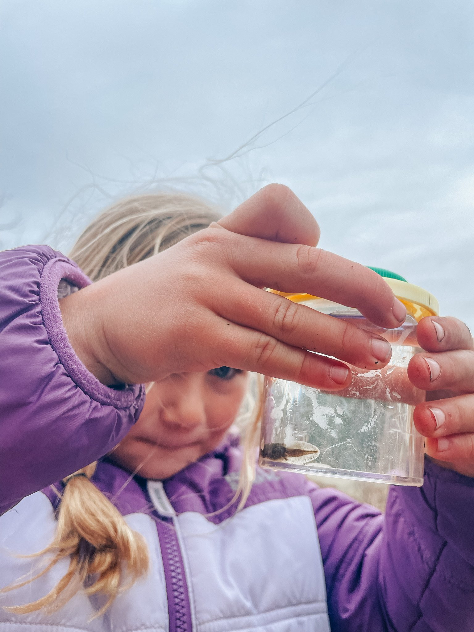 A girl wearing a purple jacket holding a clear plastic container with some insects inside, outdoors with a cloudy sky in the background.