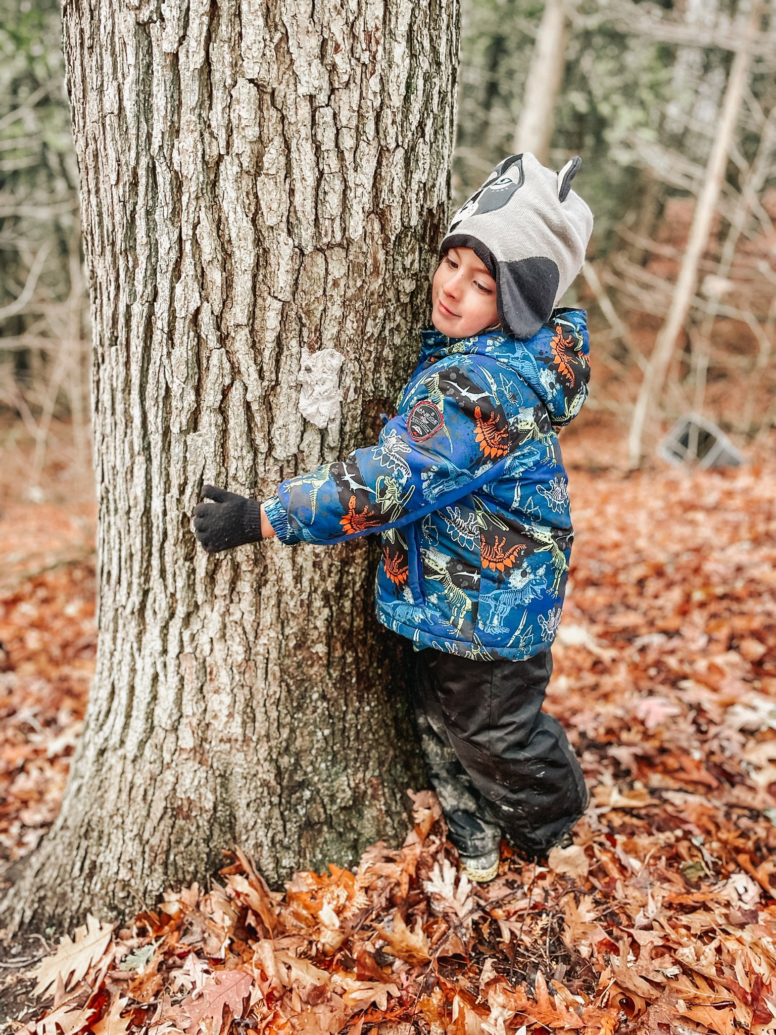 A young boy hugging a large tree in a forest during fall, wearing a blue dinosaur-themed jacket, black pants, gloves, and a gray dinosaur hat.