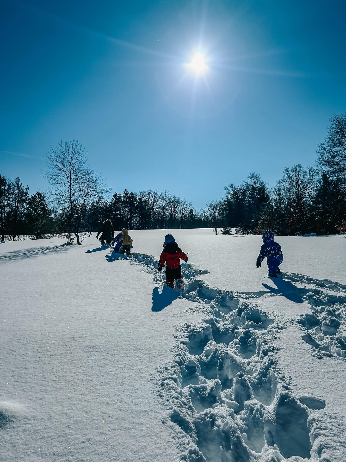 WEEK THREE | WINTER SESSION | WEDNESDAY CREW

Weekly Theme: Fire &amp; Frost- Small Sparks of Spring (Imbolc)

A fresh new energy blessed our space this week as celebrated Imbolc- the halfway point between the Winter Solstice and the Spring Equinox. 