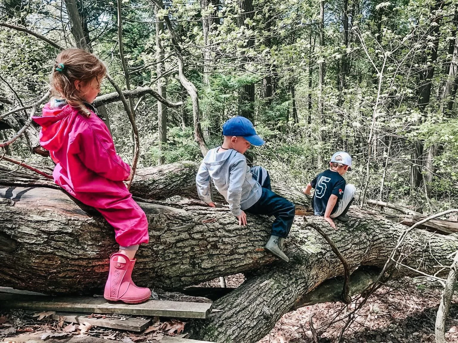 WEEK SIX | SPRING SESSION | COBOURG | FRIDAY CREW

Weekly Theme: Sticks, Stones &amp; Stories | Sharing Experiences

CHIPMUNKS
🌞 What a gorgeous day! We began with our opening circle sharing our favorite stories, and learning a new song 🎶 Land of t