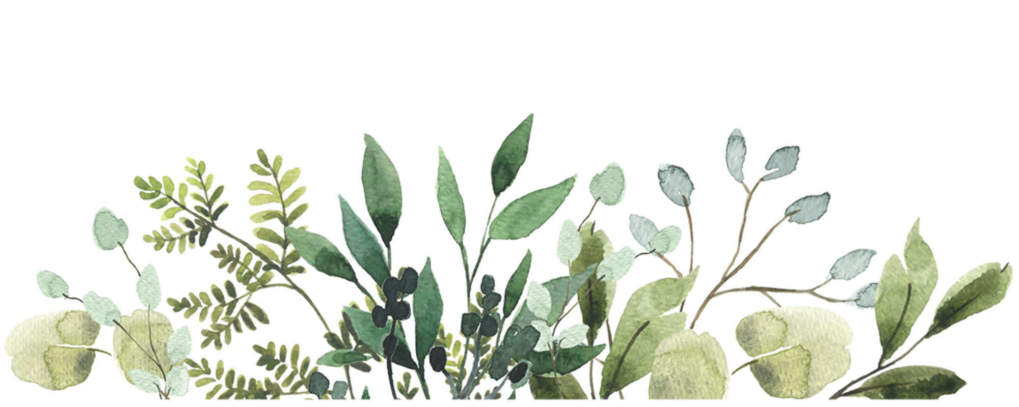 Watercolor painting of various green leafy plants, including eucalyptus and fern leaves.