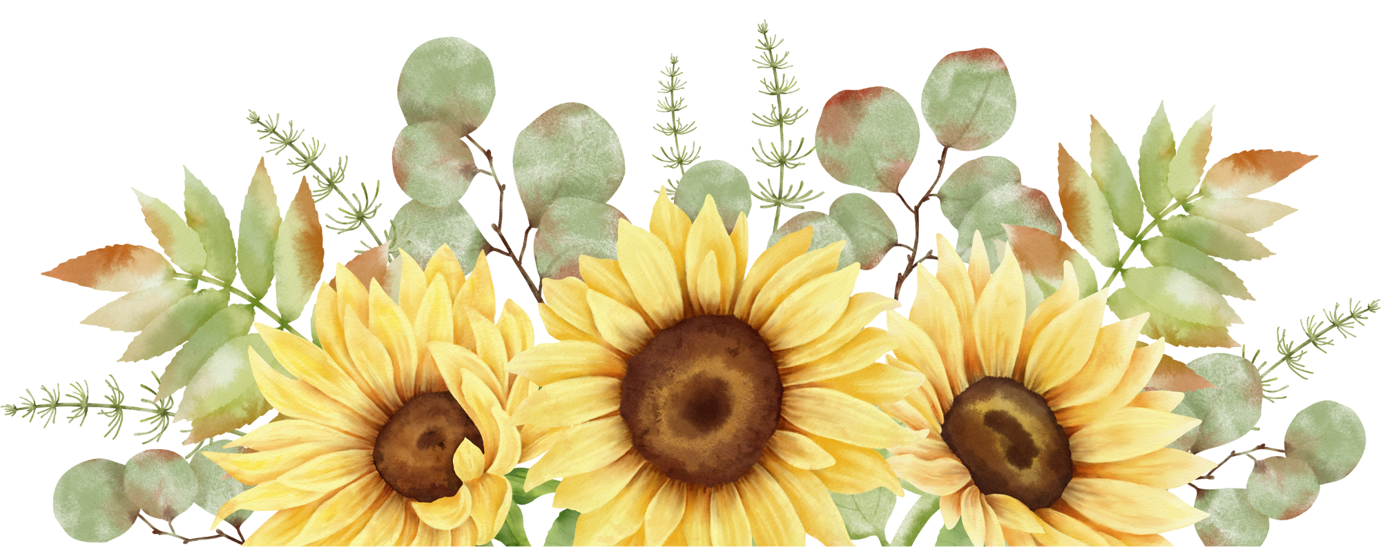 Watercolor illustration of three sunflowers with green foliage and eucalyptus leaves