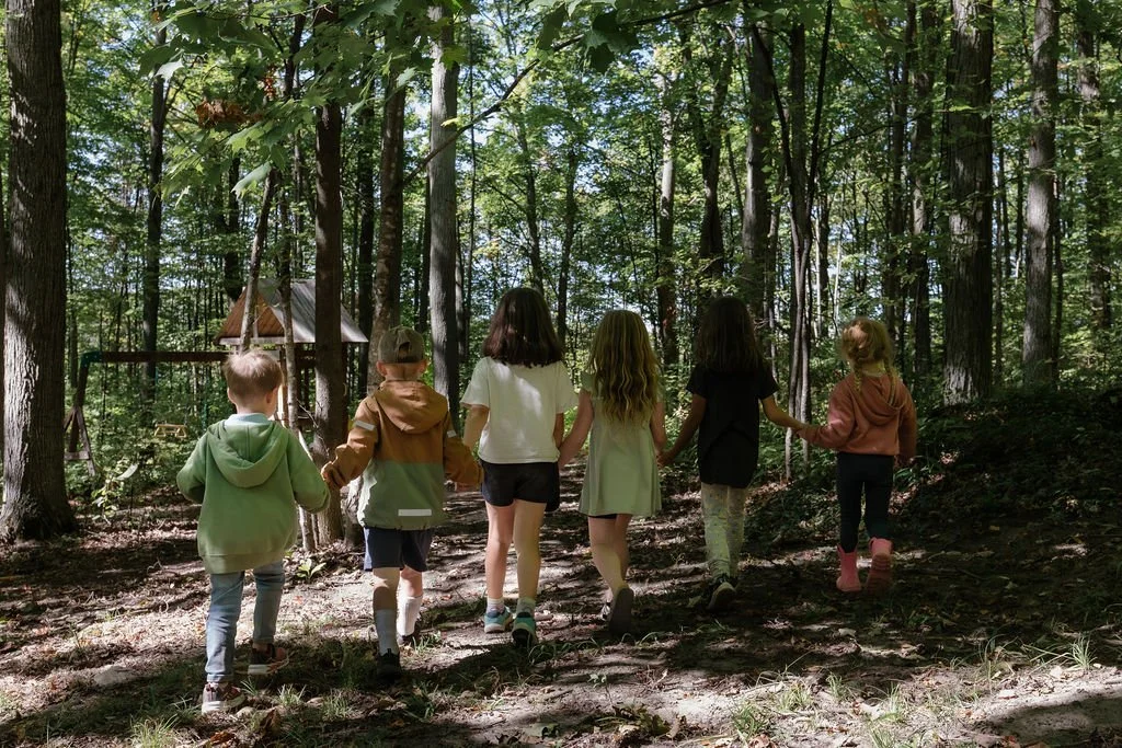 Seven children walking hand in hand through a wooded forest.