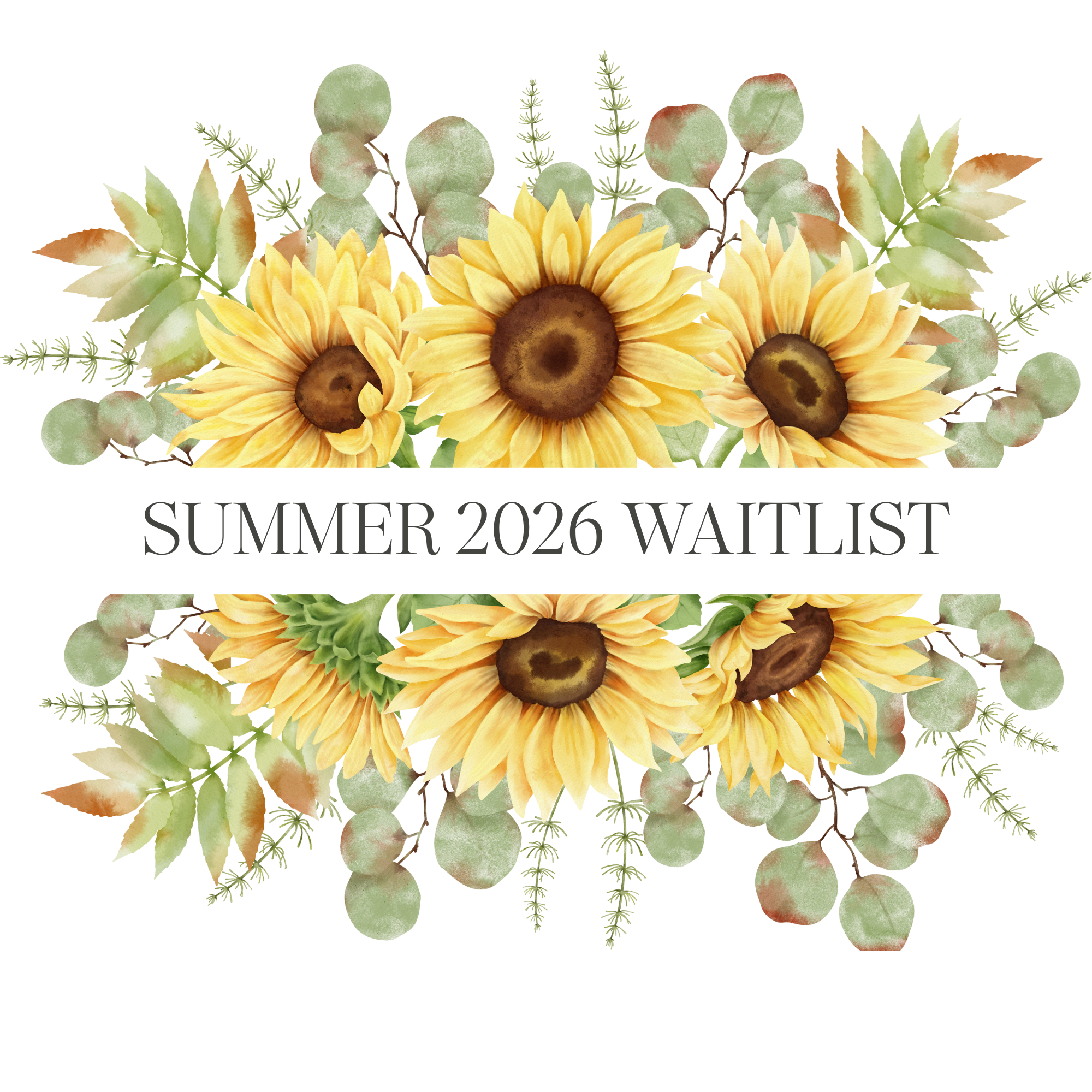 Watercolor illustration of three sunflowers with green foliage, arranged symmetrically with one large sunflower in the center and two smaller sunflowers on each side.