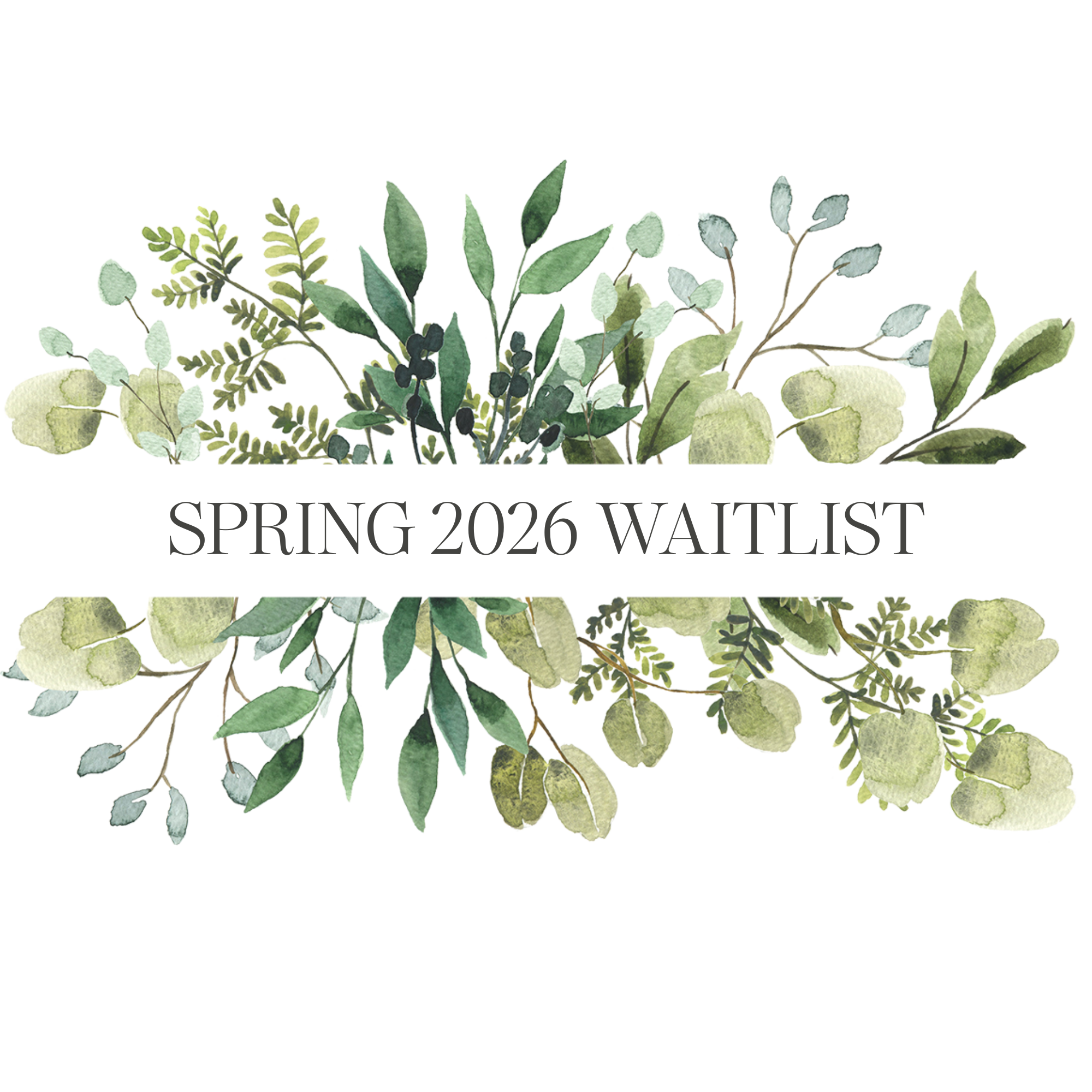 Watercolor botanical illustration with various green leaves and small berries arranged in a horizontal pattern.