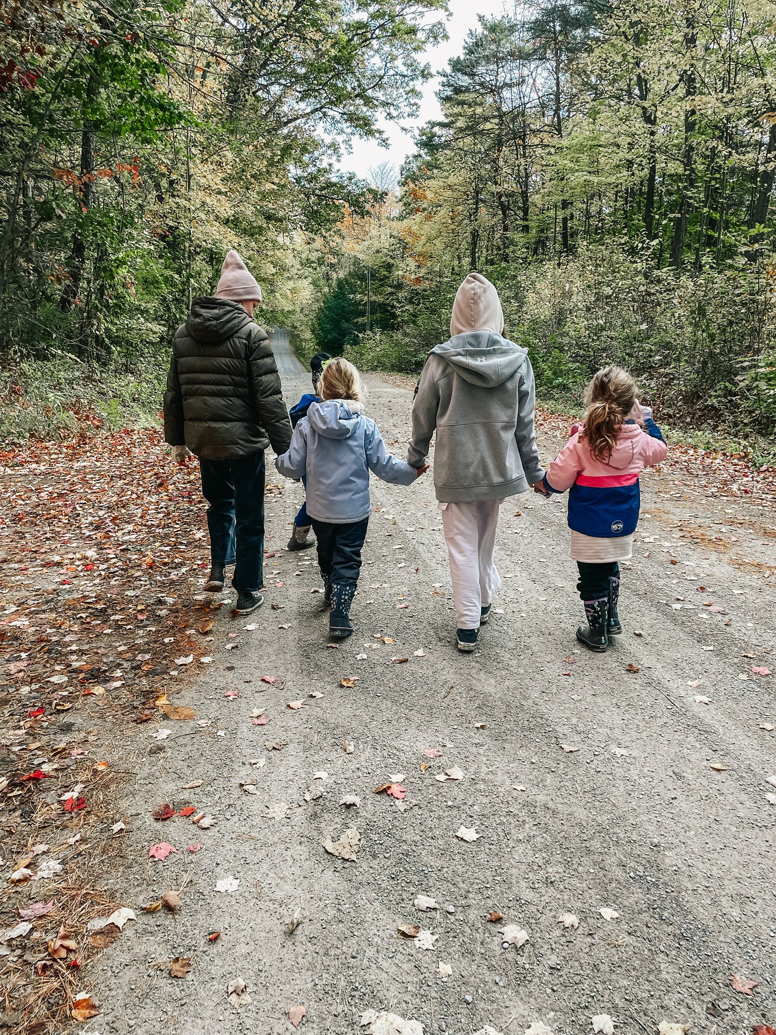 A group of five children walking hand in hand on a wooded trail in autumn with fallen leaves on the ground.