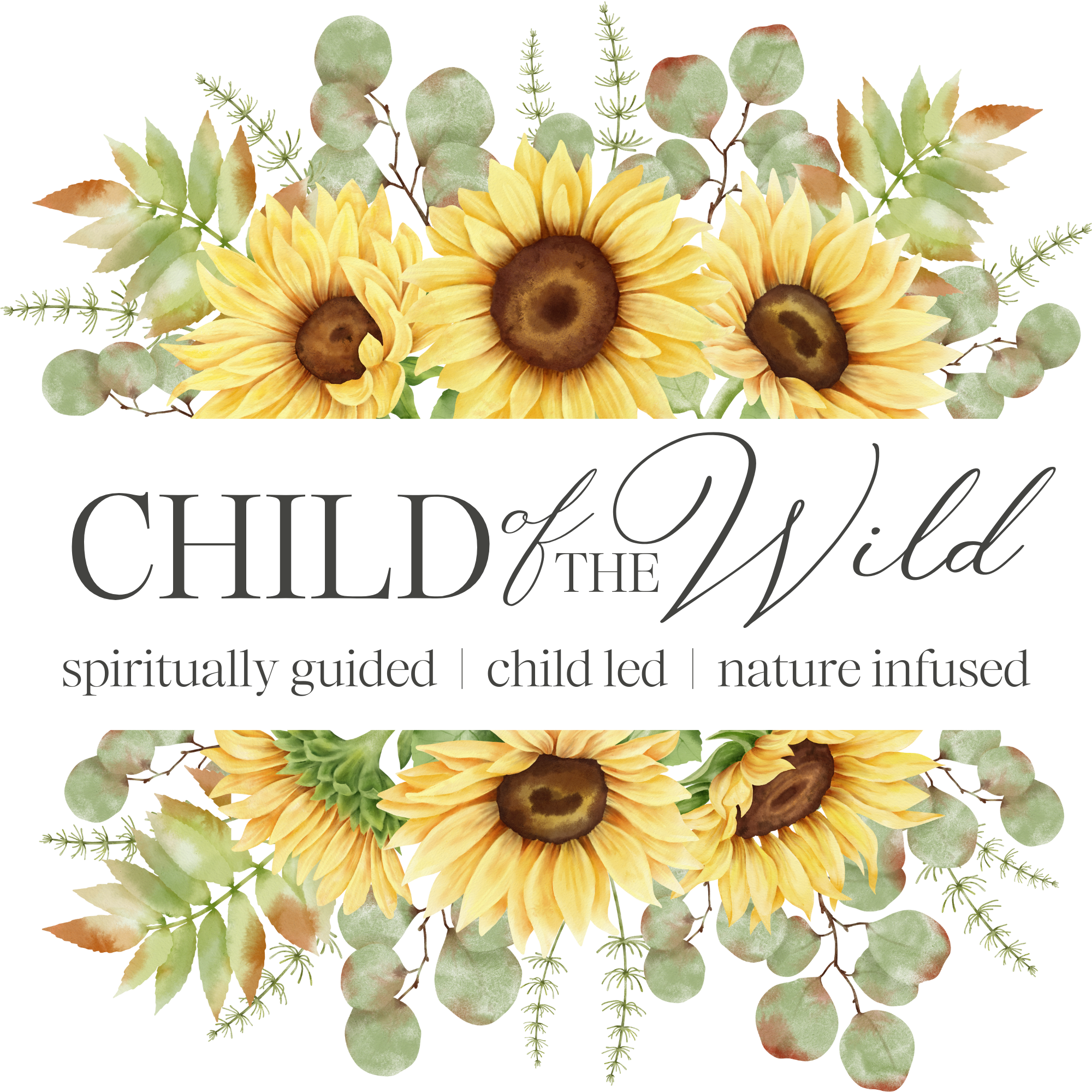 Arrangement of sunflowers with eucalyptus leaves at the top and bottom of the image.