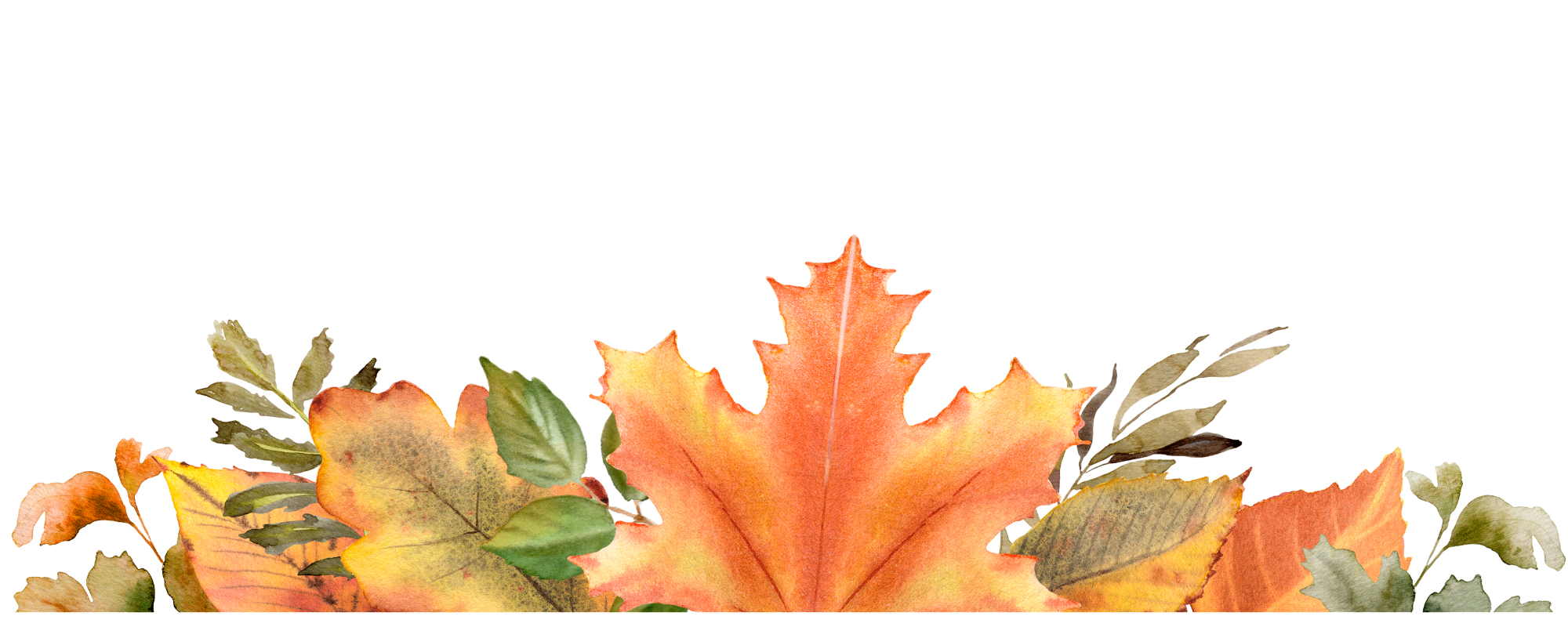 A collection of autumn leaves in various shades of orange, yellow, green, and brown.