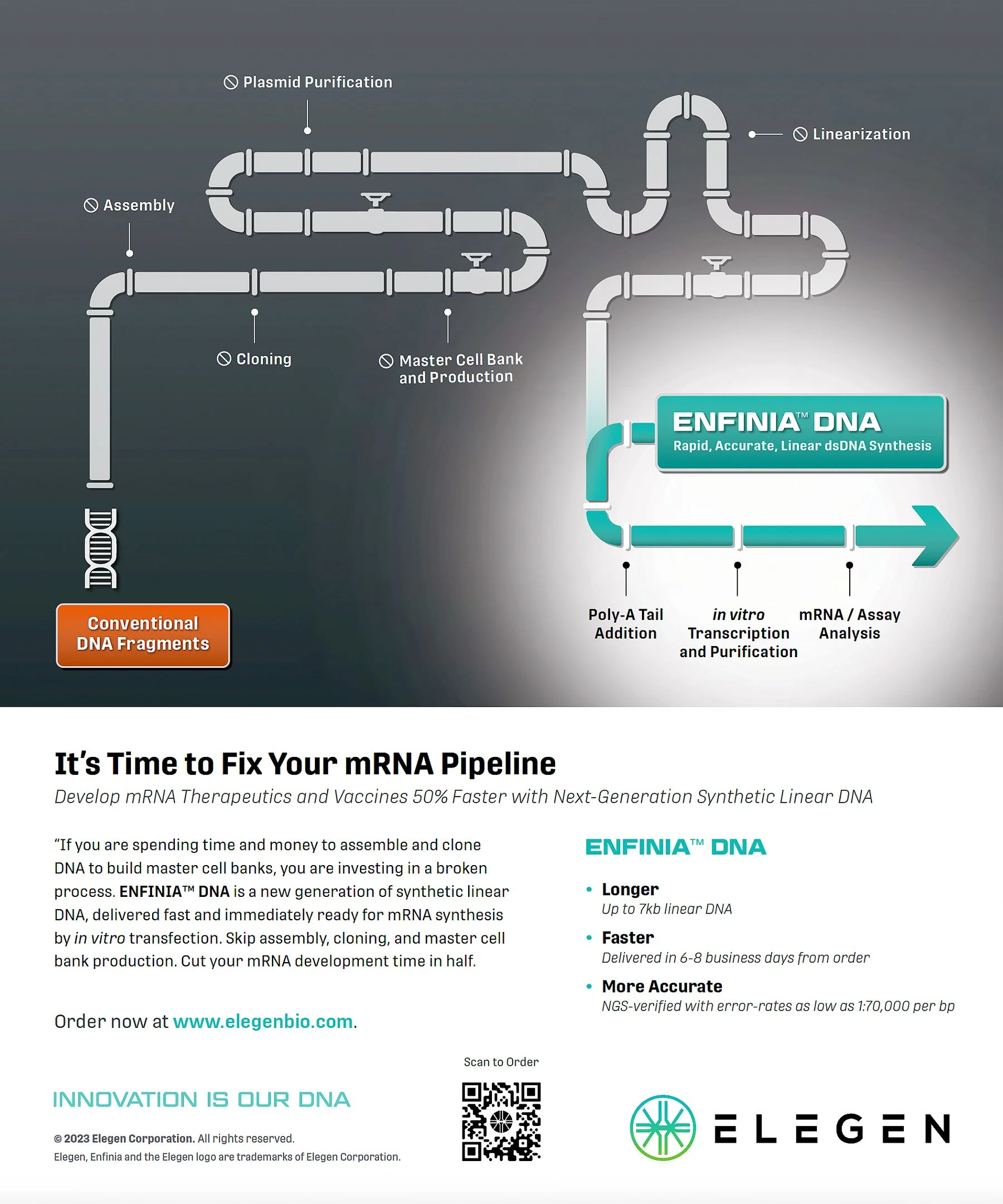 print-ad-elegen-pipeline-01a.jpg