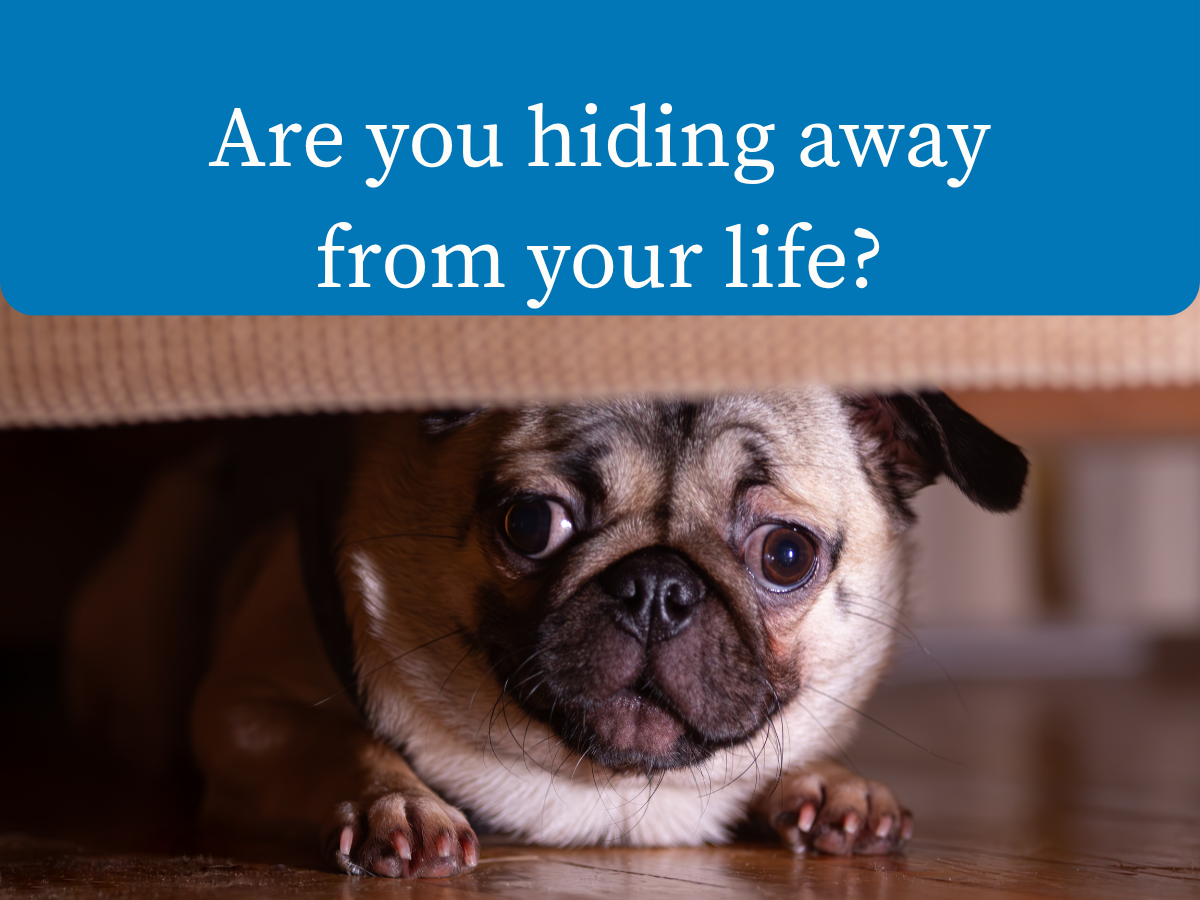 Are you hiding away from your life?
