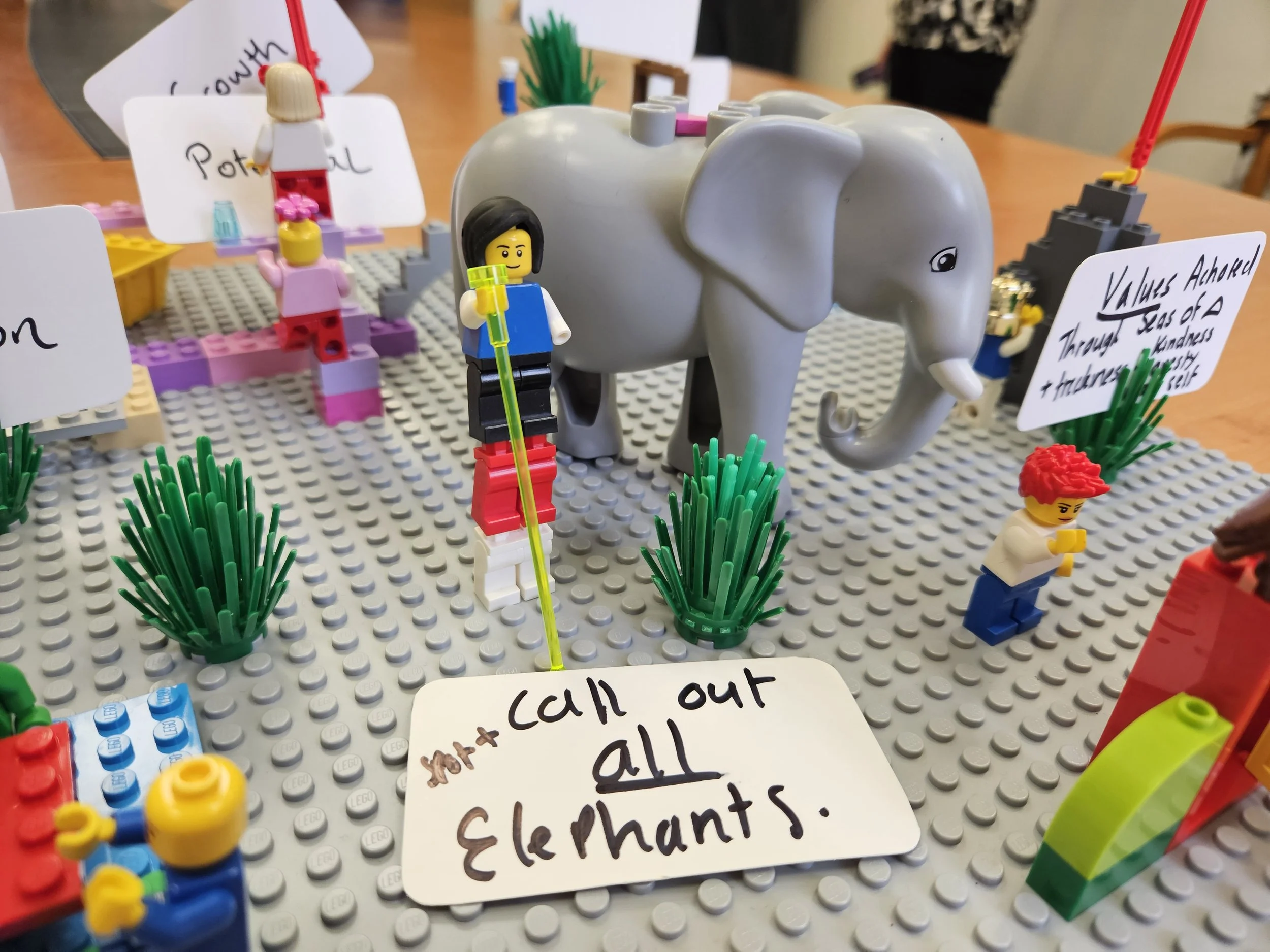 20251122_124745 (1).jpg