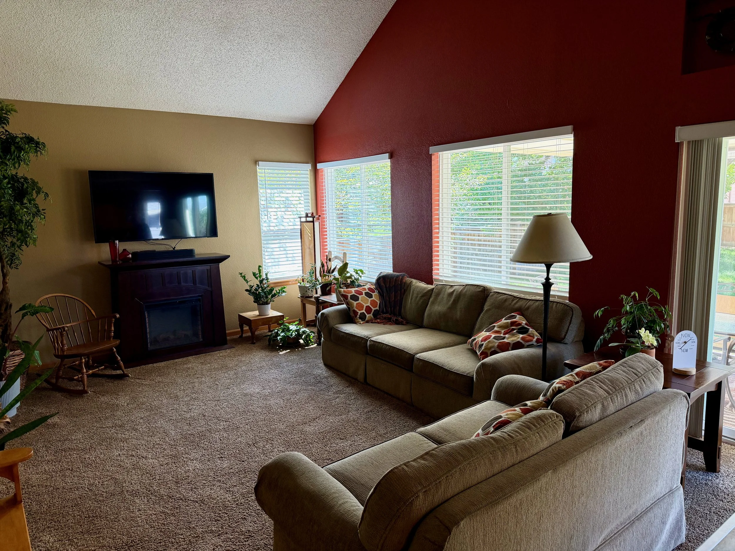 Living room with a beige and red wall, large windows with blinds, a beige sofa with patterned pillows, a wooden chair, potted plants, a lamp, and a TV on a stand.