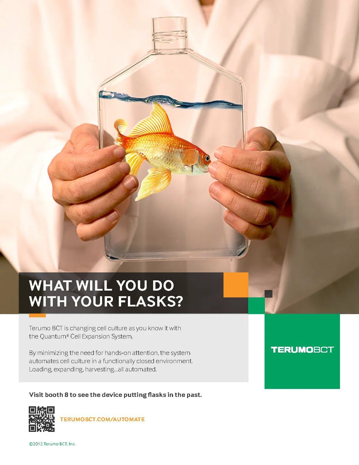 A tech in a white lab coat holding a transparent flask with a goldfish inside to show an alternative use for flasks now that the Quantum cell expansion systems automates the process.