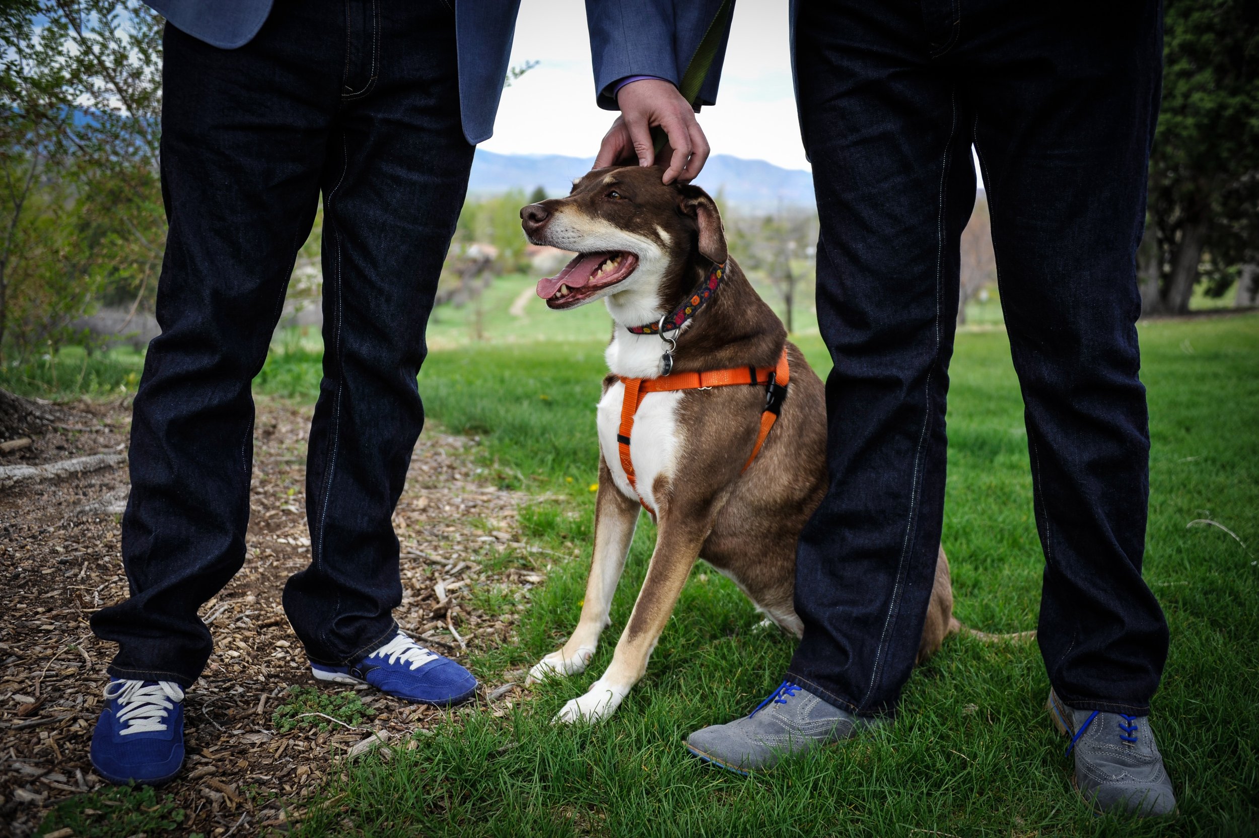 Close up of a dog with two men on either side with the Colorado rockies in the background.