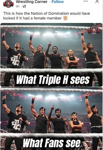 Screenshot of a Facebook post by "Wrestling Corner" captioned: "This is how the Nation of Domination would have looked if it had a female member ✊🏽". The post shows a two-panel meme.