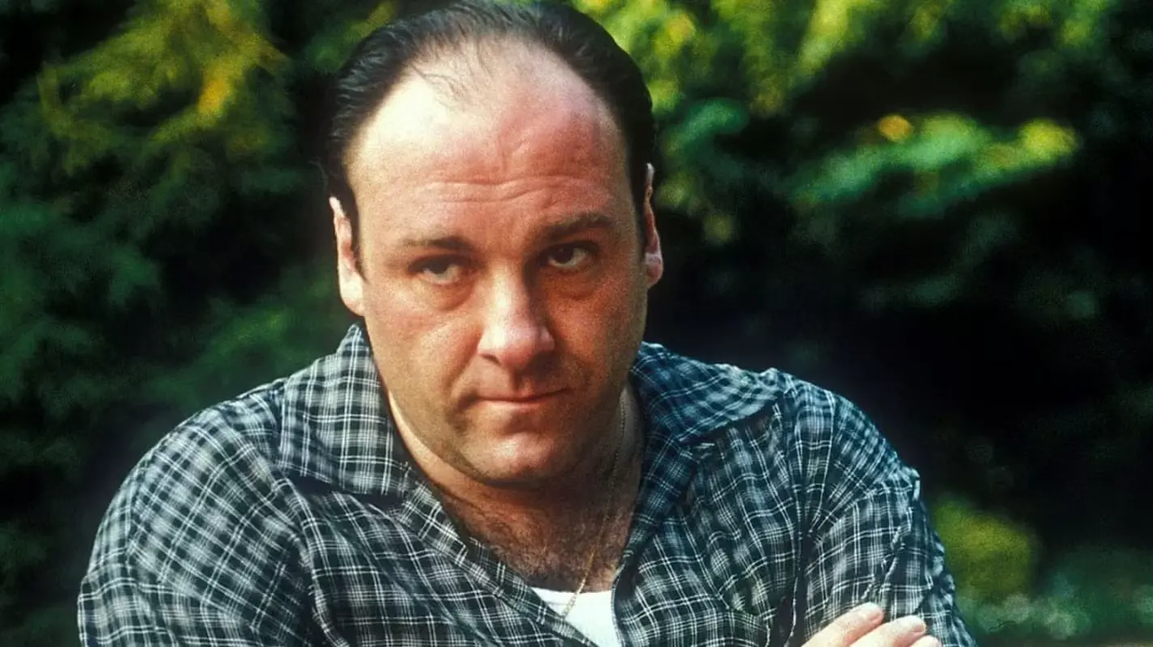 Tony Soprano wearing a plaid button-down shirt with his arms crossed and a pensive expression.