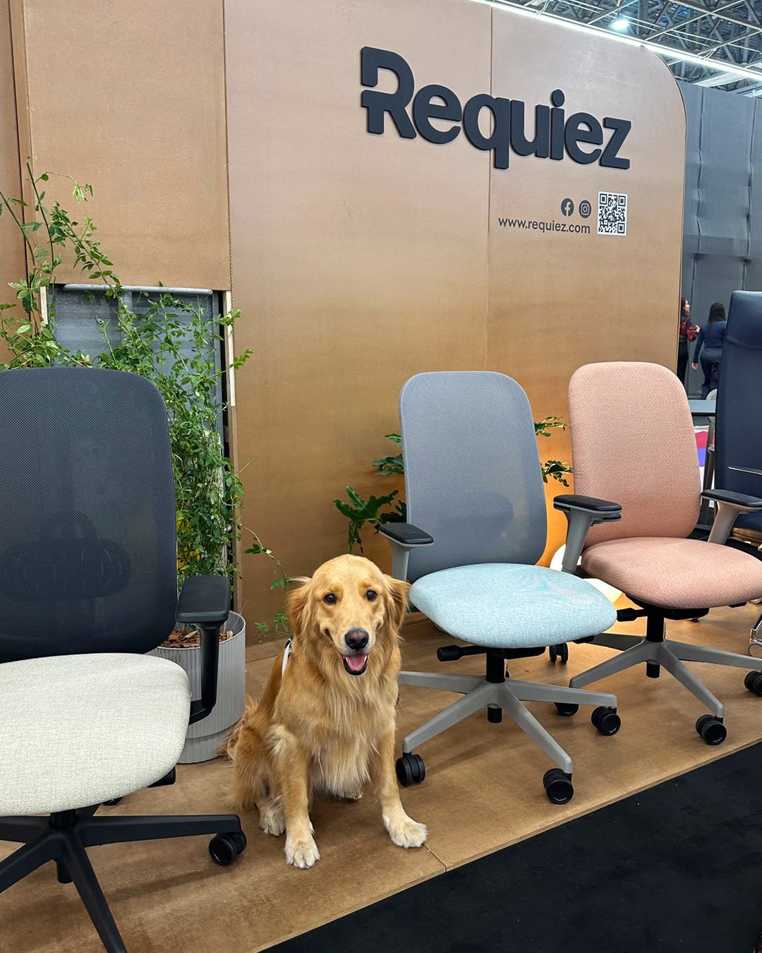 Expo mueble_7.jpg