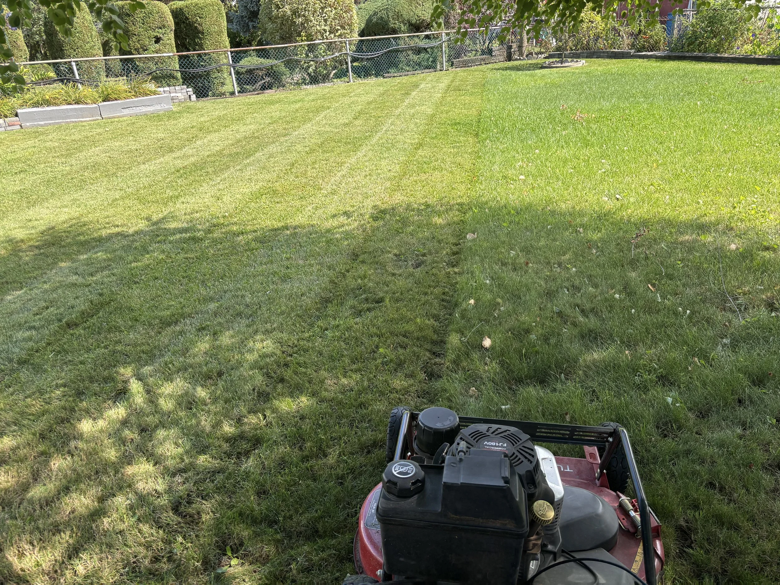 Lawn Care & Maintenance