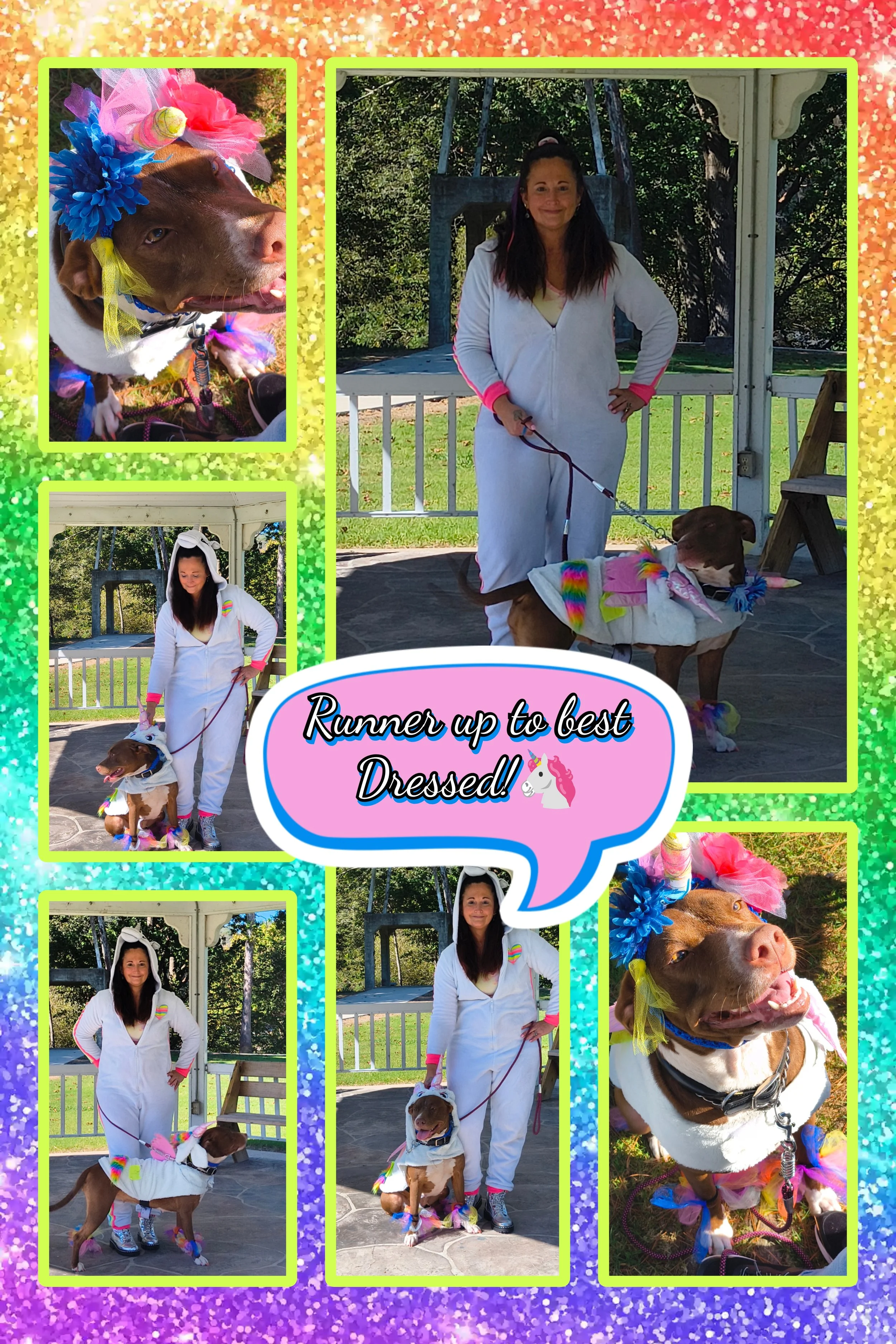 Unicorn Owner and Dog Customs set