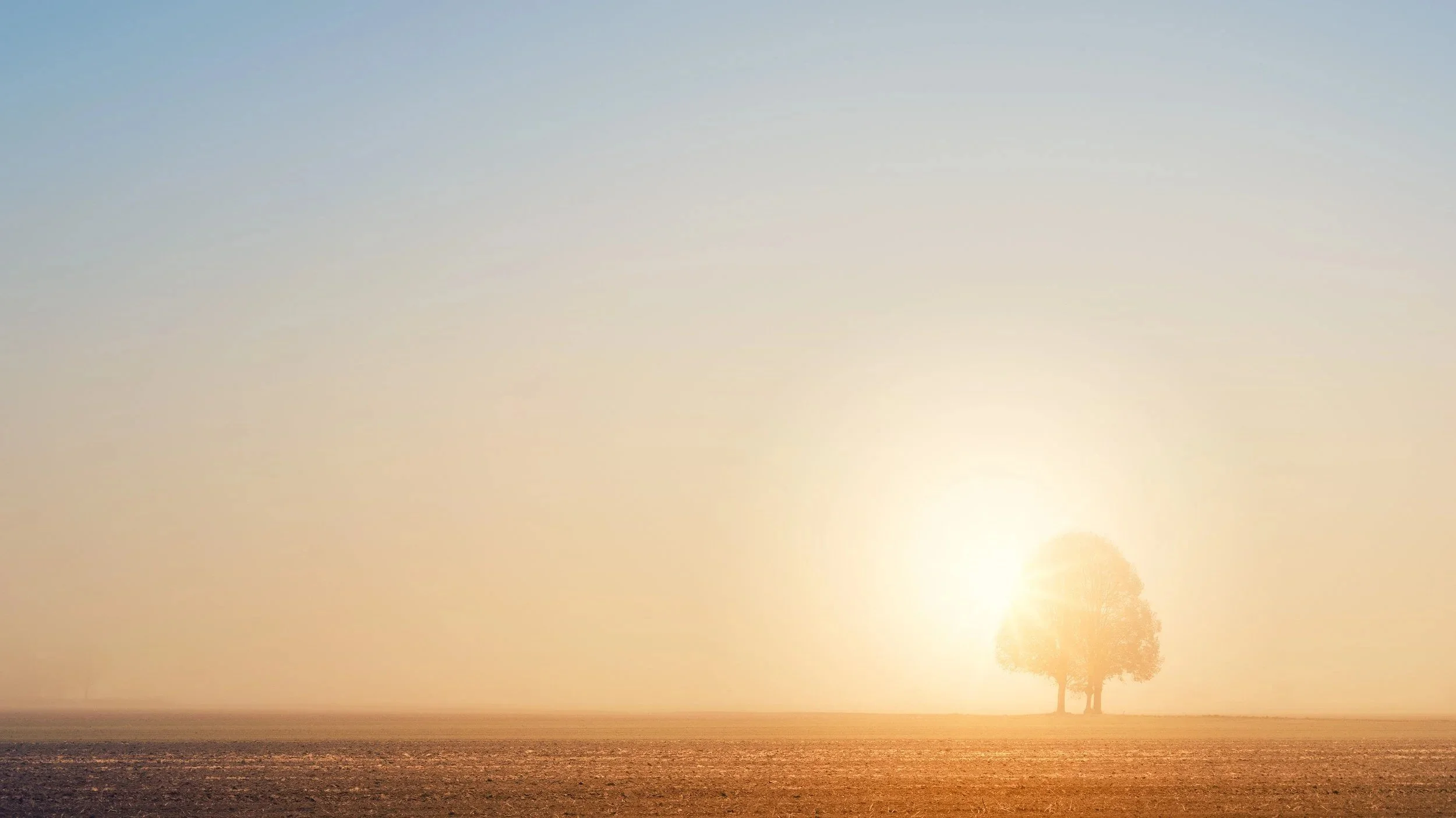 A sunset over a flat landscape with a single tree near the horizon.