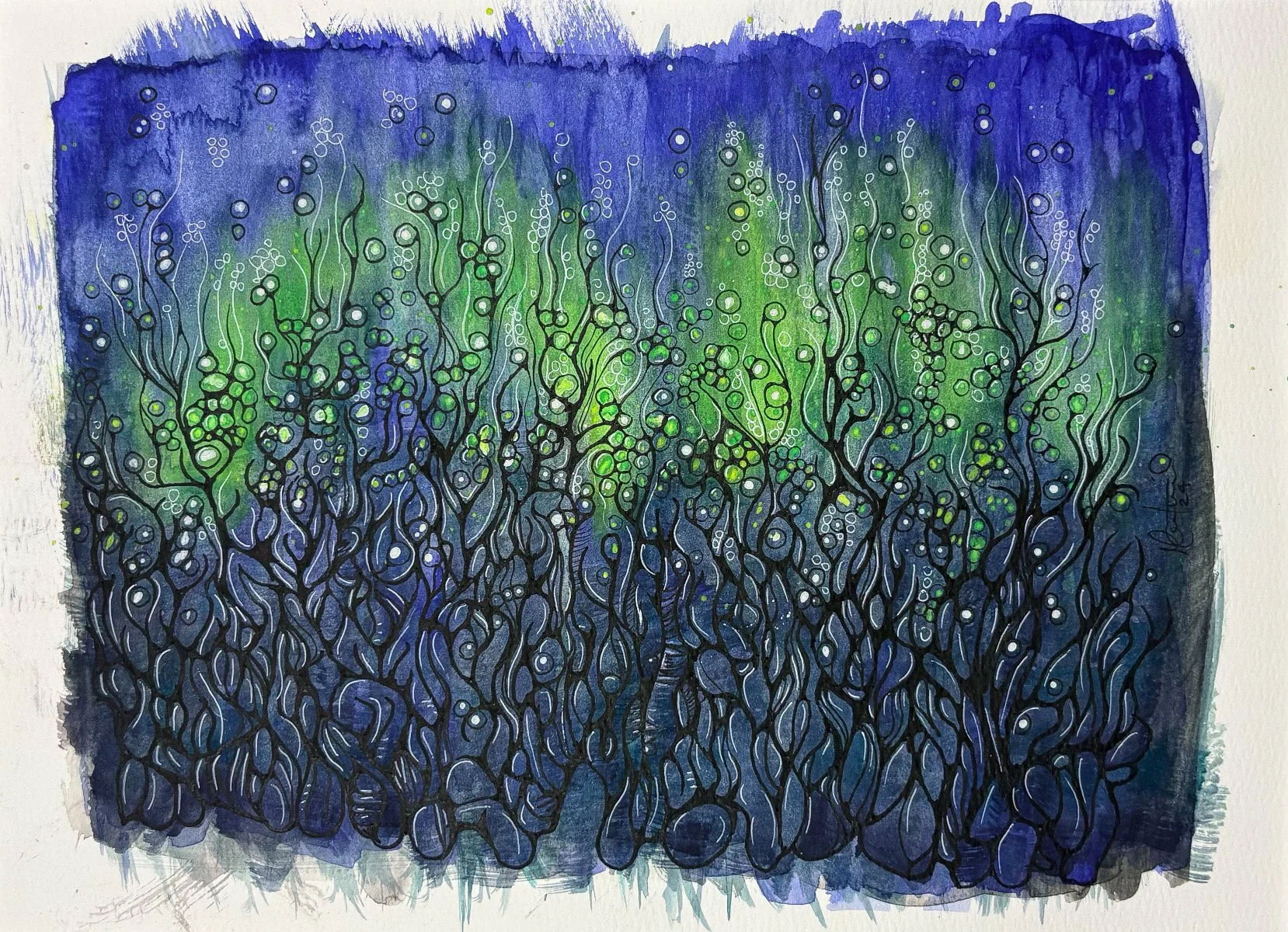 Aurores boréales - VENDUE