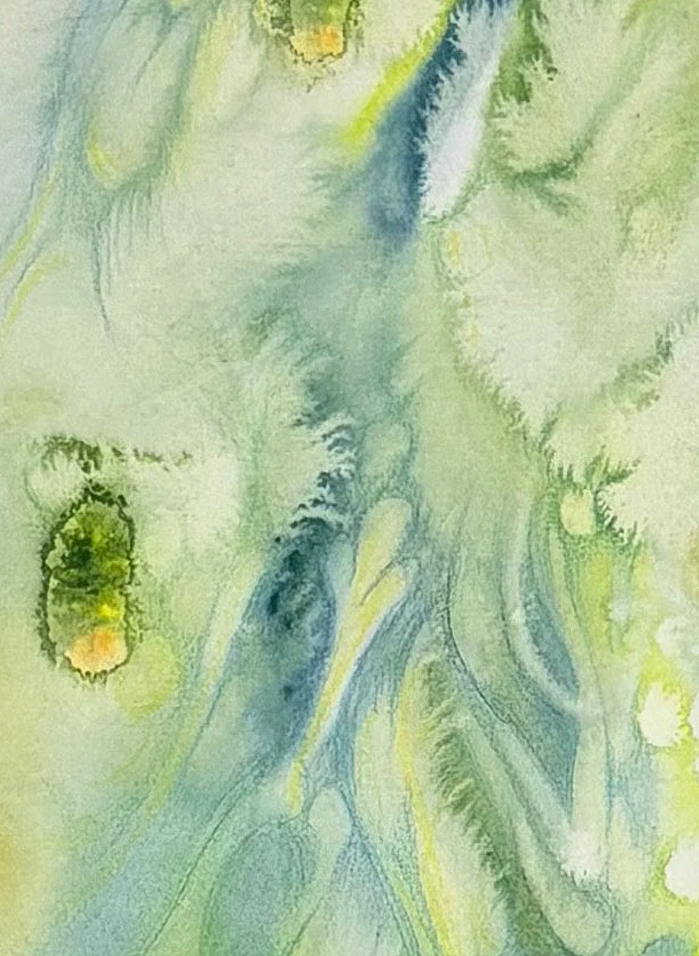 Détail de l'aquarelle réalisée par Martine Giguère