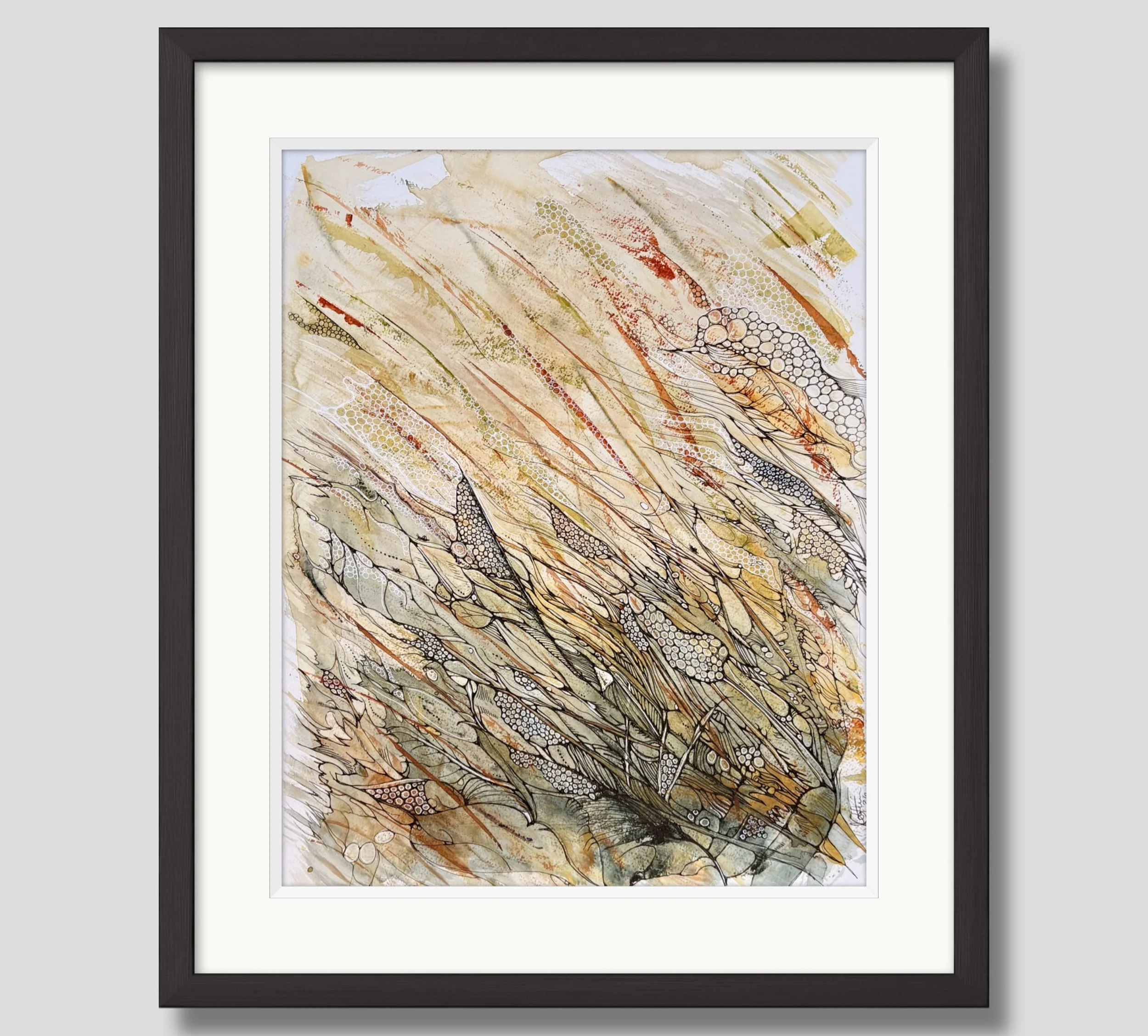 Sauterelles encadré