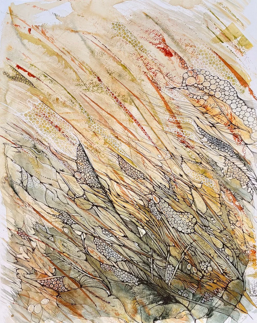 Sauterelles - aquarelle et encre, 16x20, 300$